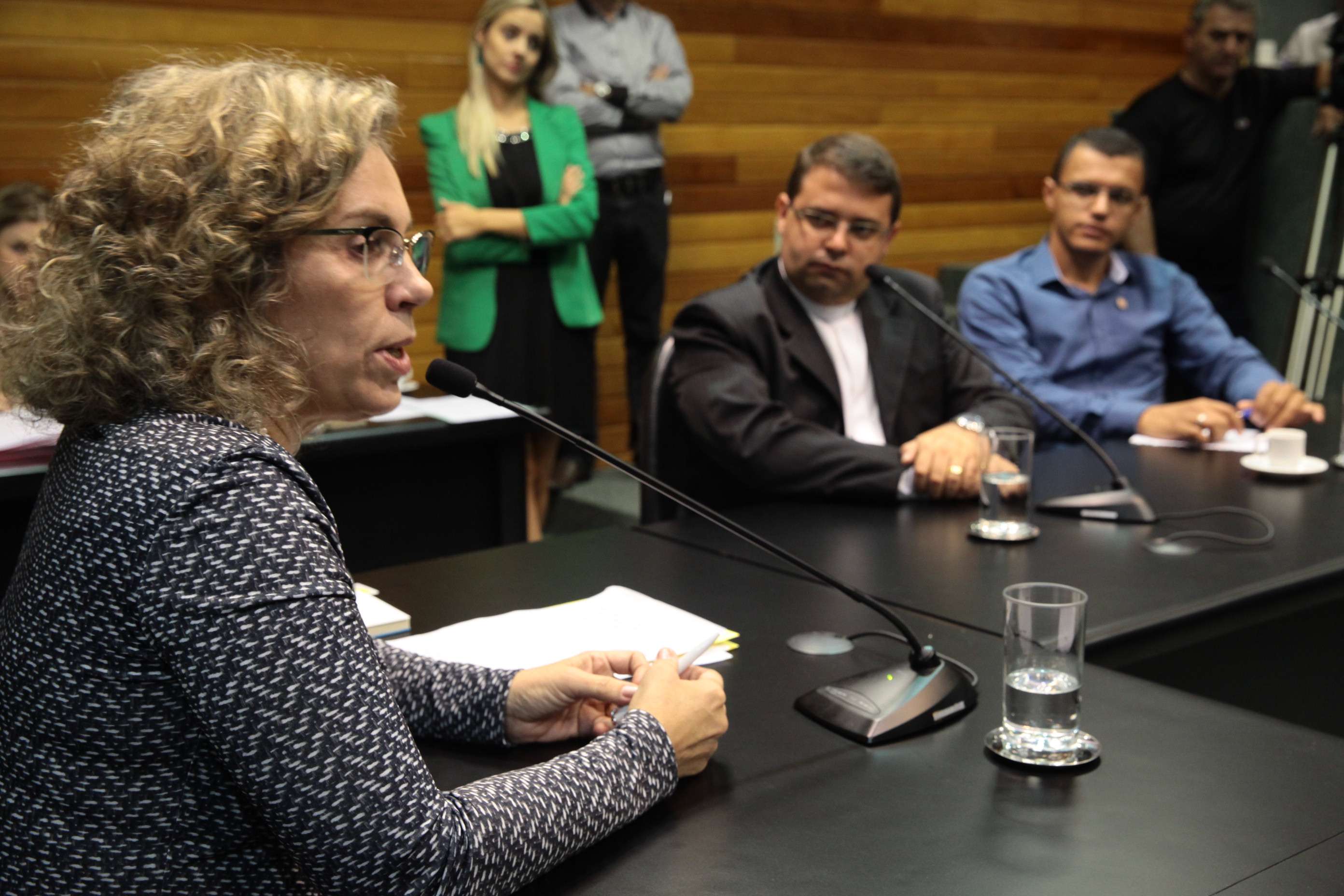 Reunião da Comissão de Segurança Pública. Foto: Miriam Zomer/ Agência AL