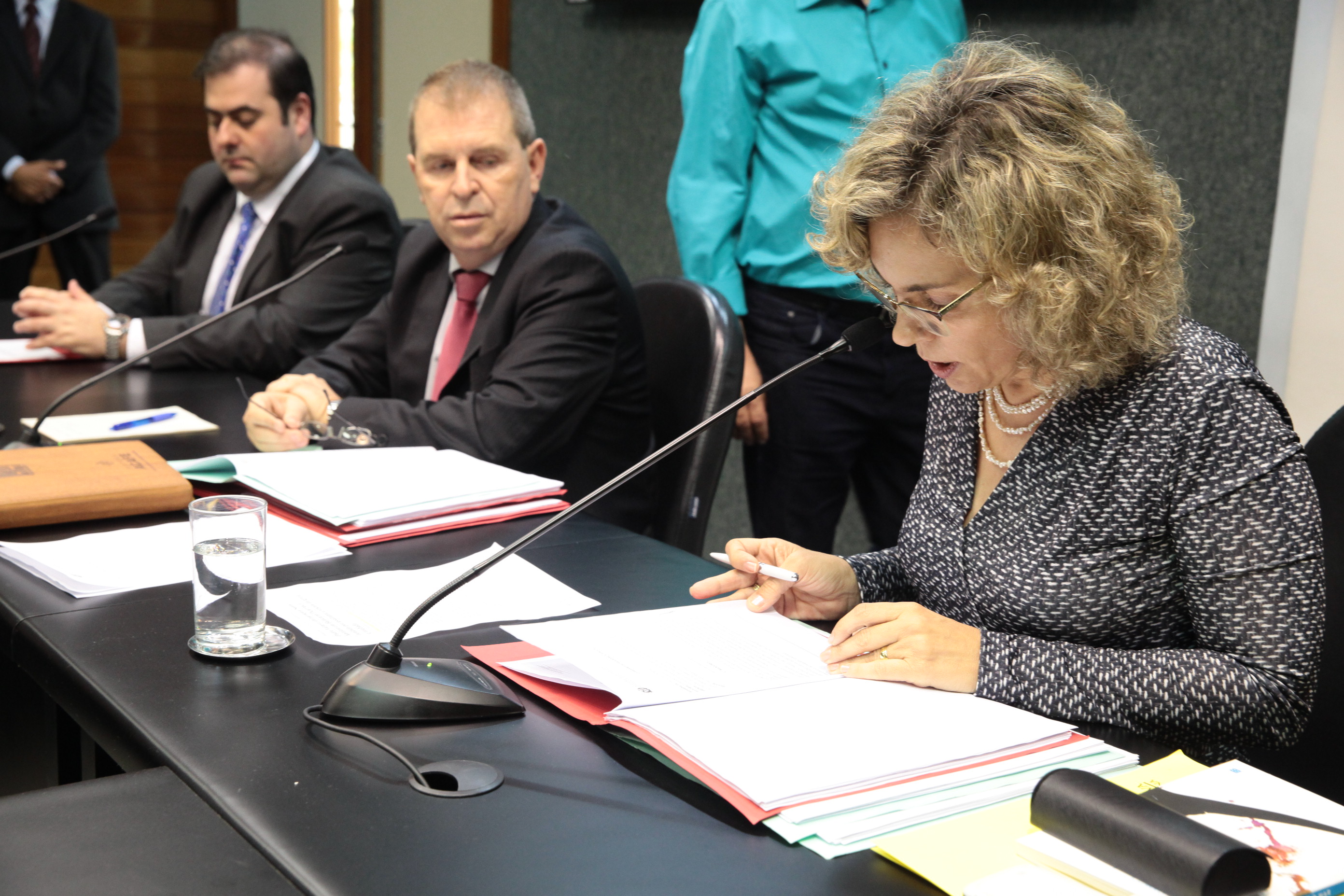 Reunião da Comissão de Segurança Pública. Foto: Miriam Zomer/ Agência AL