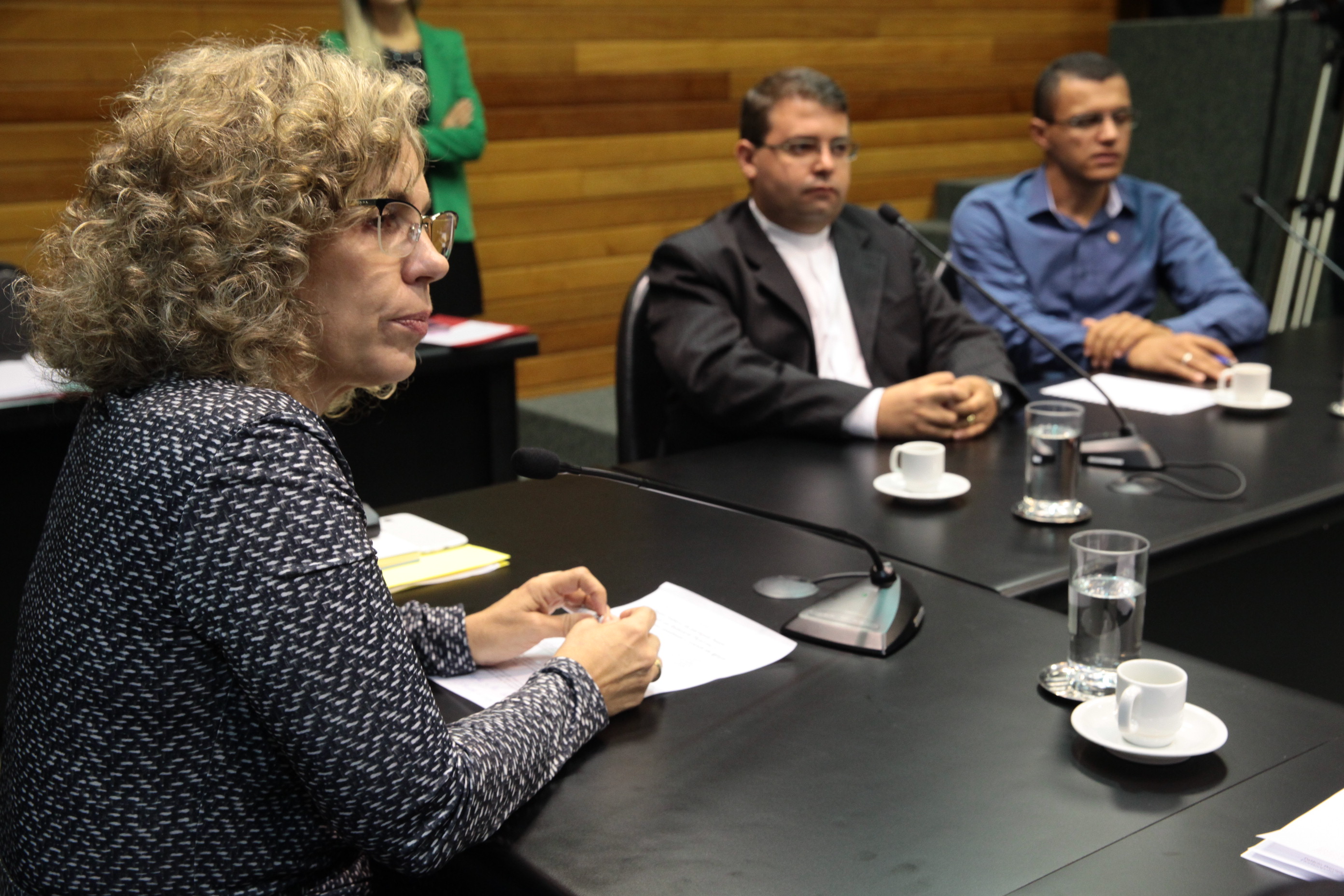 Reunião da Comissão de Segurança Pública. Foto: Miriam Zomer/ Agência AL