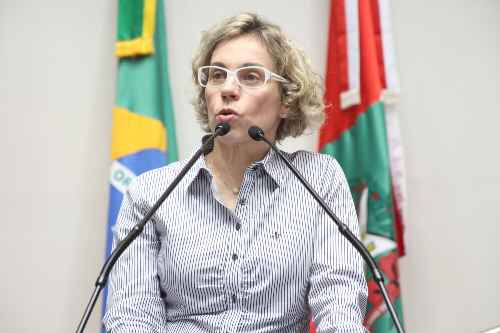Deputada destaca mobilização pelo fim da violência contra a mulher