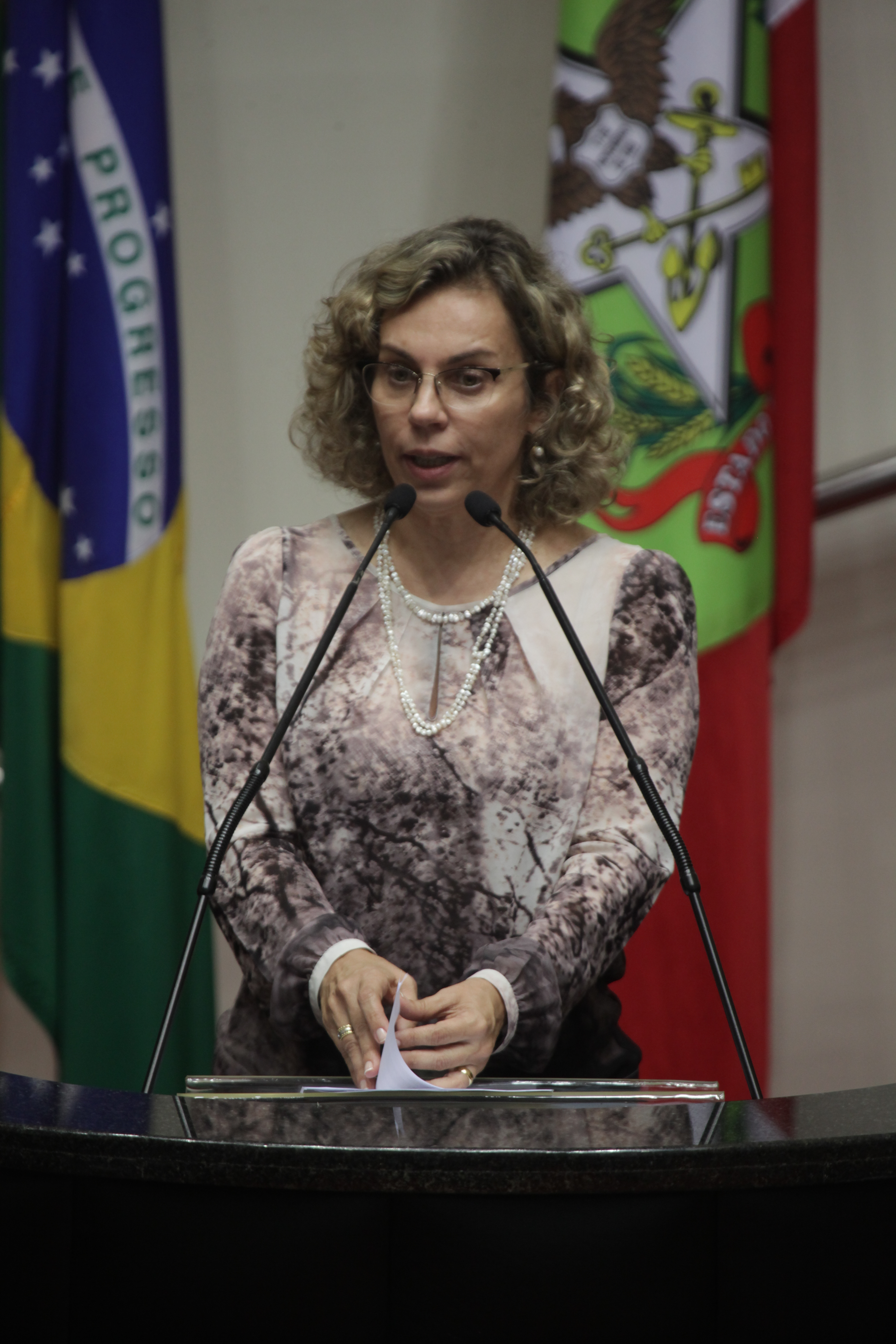 Sessão Plenária