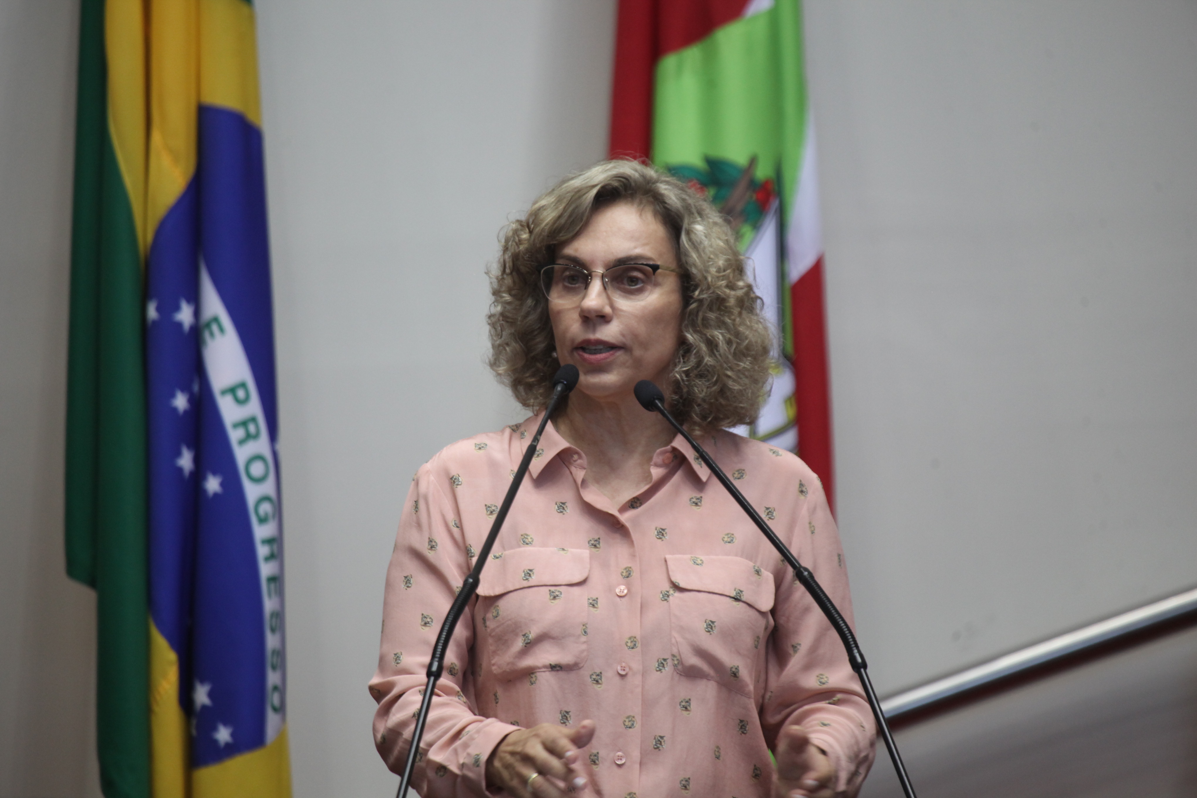 Deputada Ana Paula Lima (PT) - Sessão Ordinária  Foto: Carlos Kilian / Agência AL