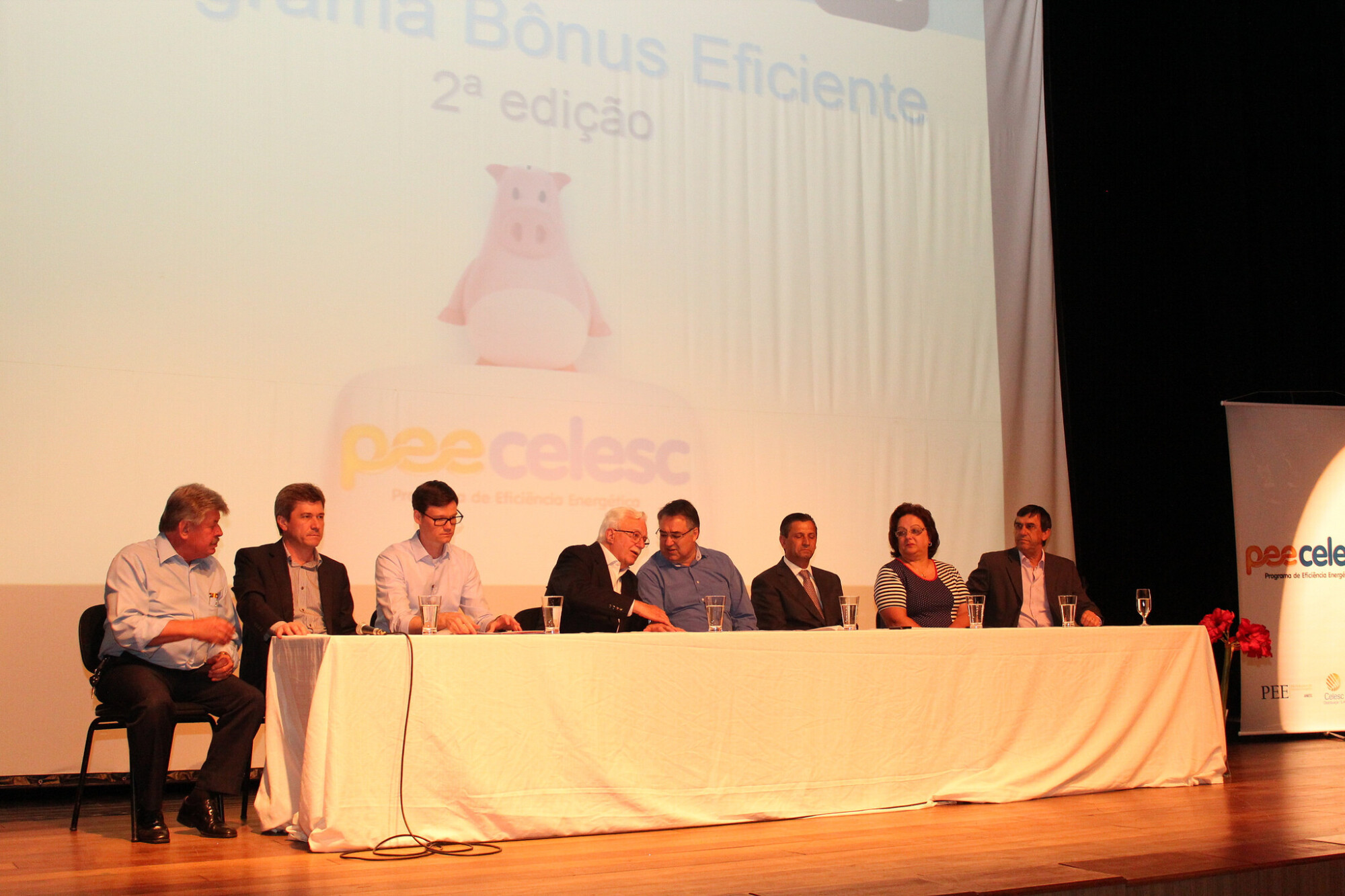 FOTO: Ana Carolina Dall'Agnol / Celesc