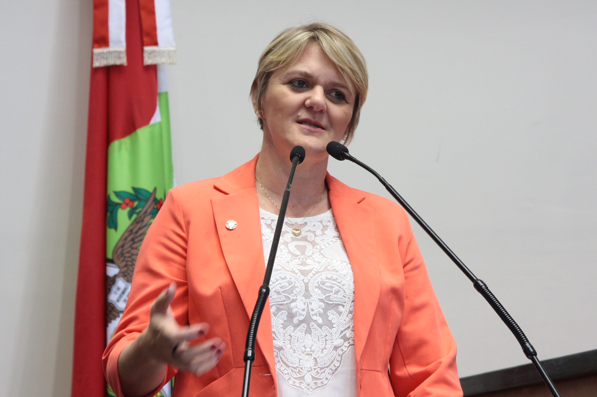 Sessão Ordinária - Plenário Osni Régis. Foto: Eduardo Guedes de Oliveira / Agência AL