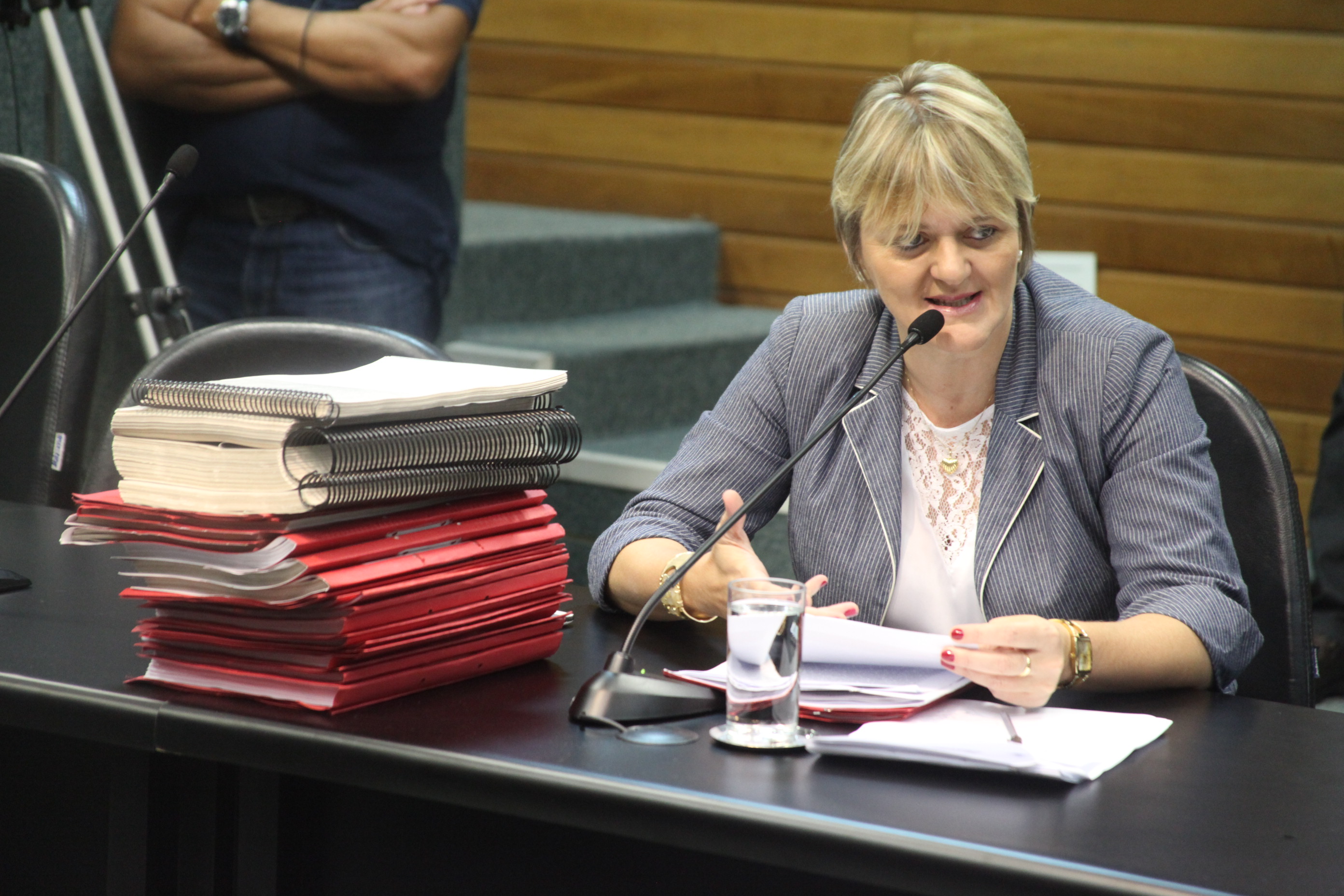 Reunião da Comissão de Finanças e Tributação. Foto: Fábio Queiroz / Agência AL