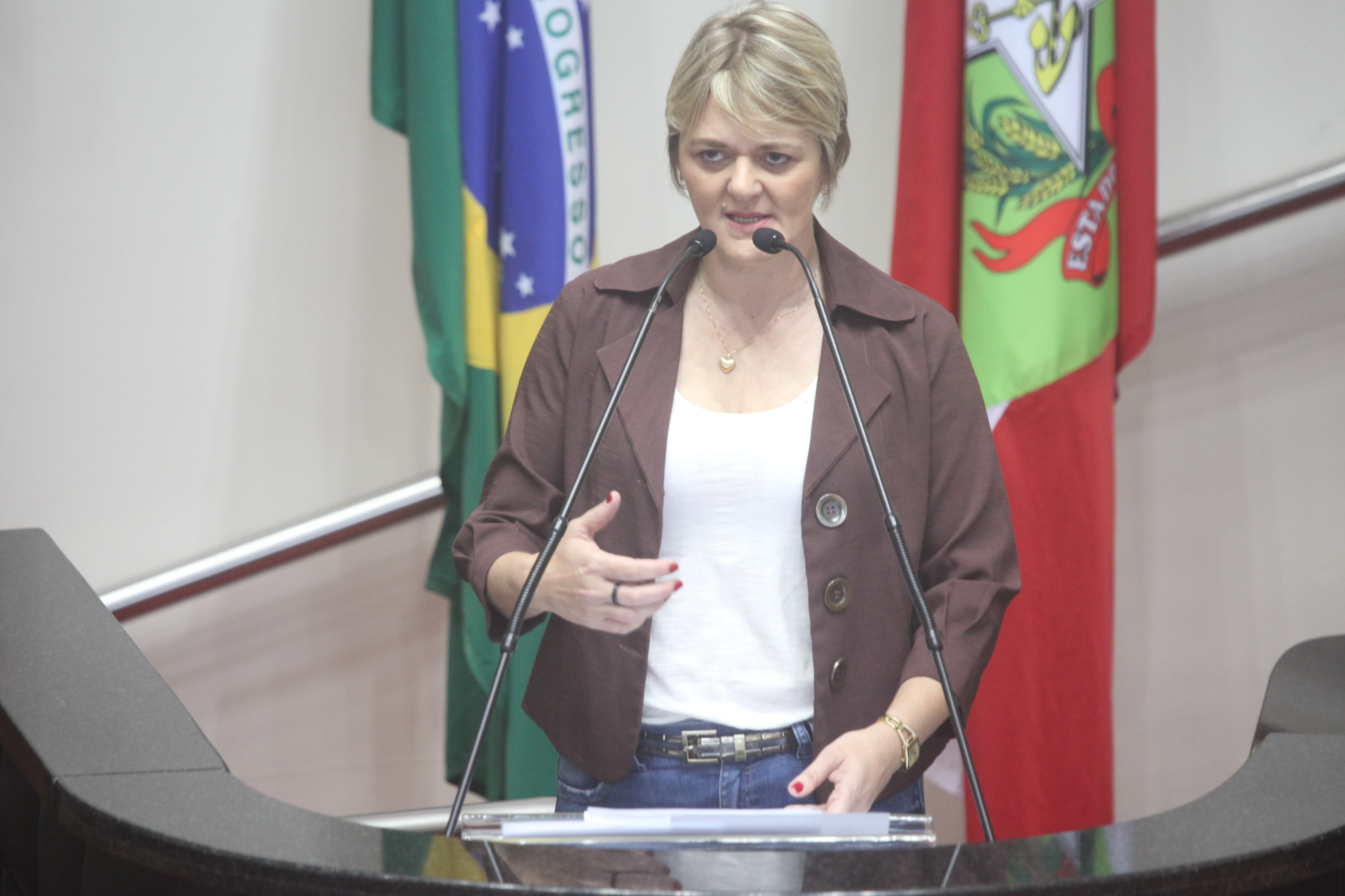 Sessão Ordinária. Foto: Fábio Queiroz / Agência AL