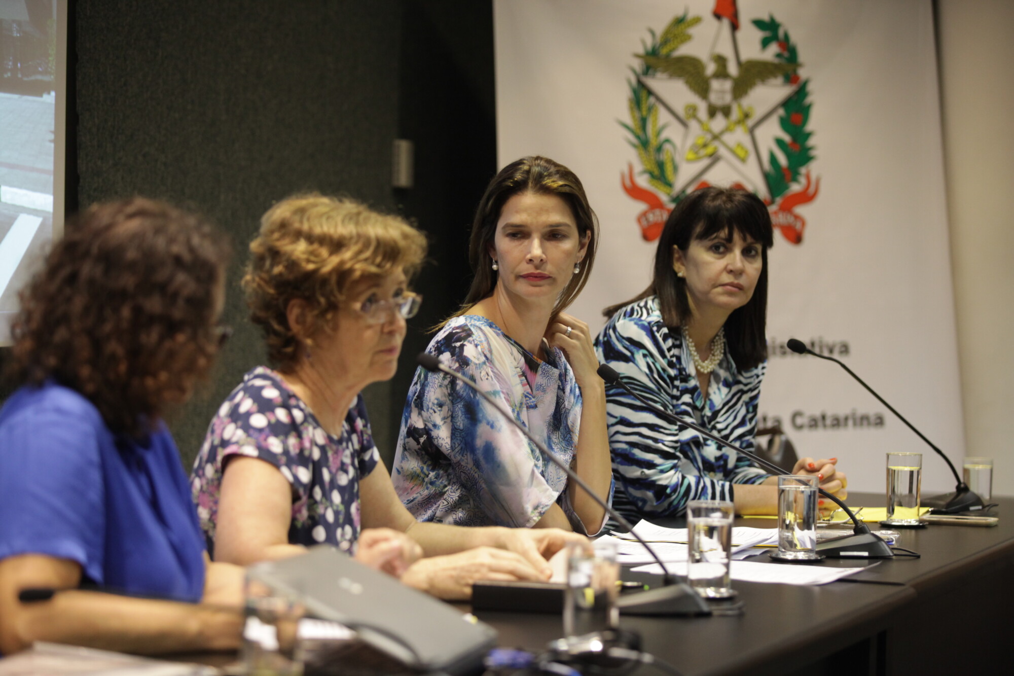 Audiência pública discutiu necessidade de políticas públicas permanentes direcionadas à mulher. FOTO: Carlos Kilian/Agência AL