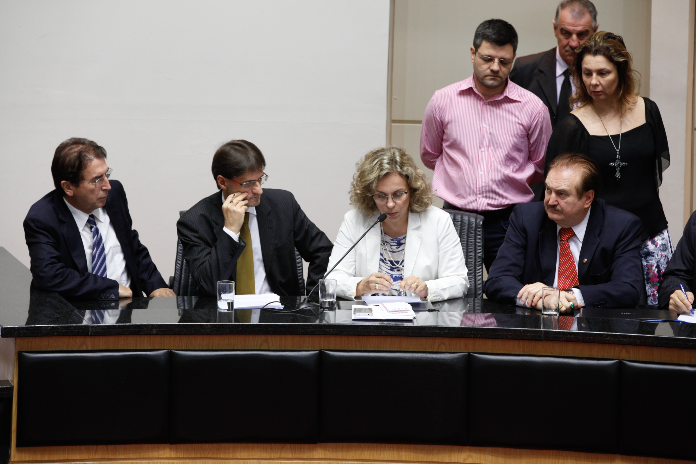 Comissão Simultânea Constituição e Justiça, Finanças e Trabalho - Foto: Juliana Stadnik / Agência AL