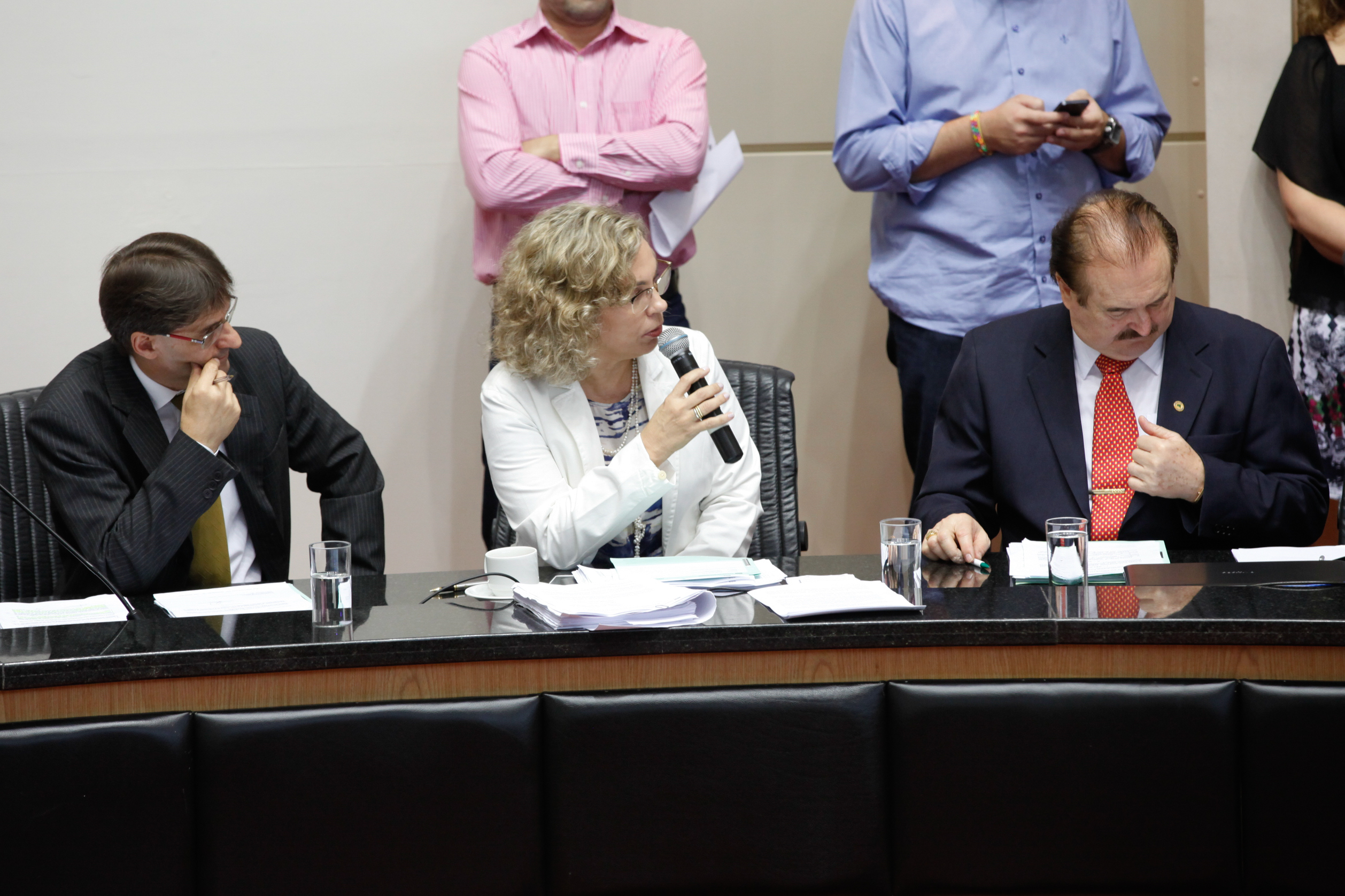 Comissão de Constituição de Justiça - Foto: Juliana Stadnik / Agência AL
