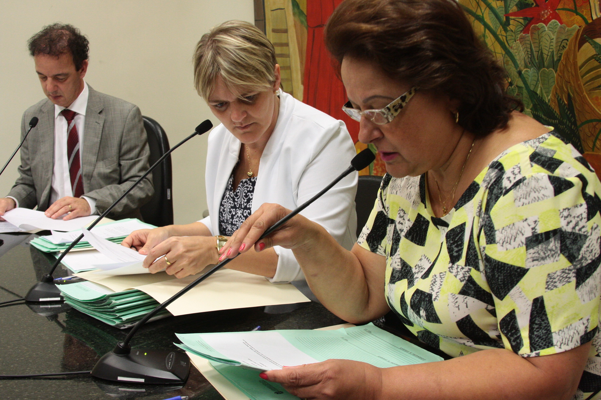 Reunião da Comissão de Direitos Humanos. Foto: Eduardo Guedes de Oliveira / Agência AL