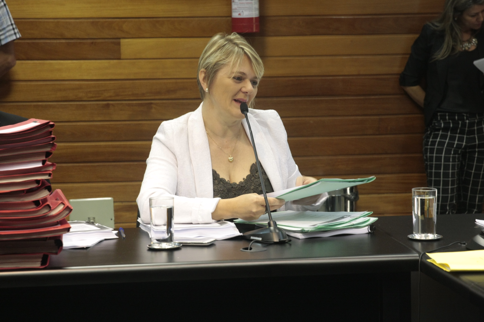 Luciane Carminatti (PT). Comissão de Finançãs Foto:Yuri Santos / Agência AL
