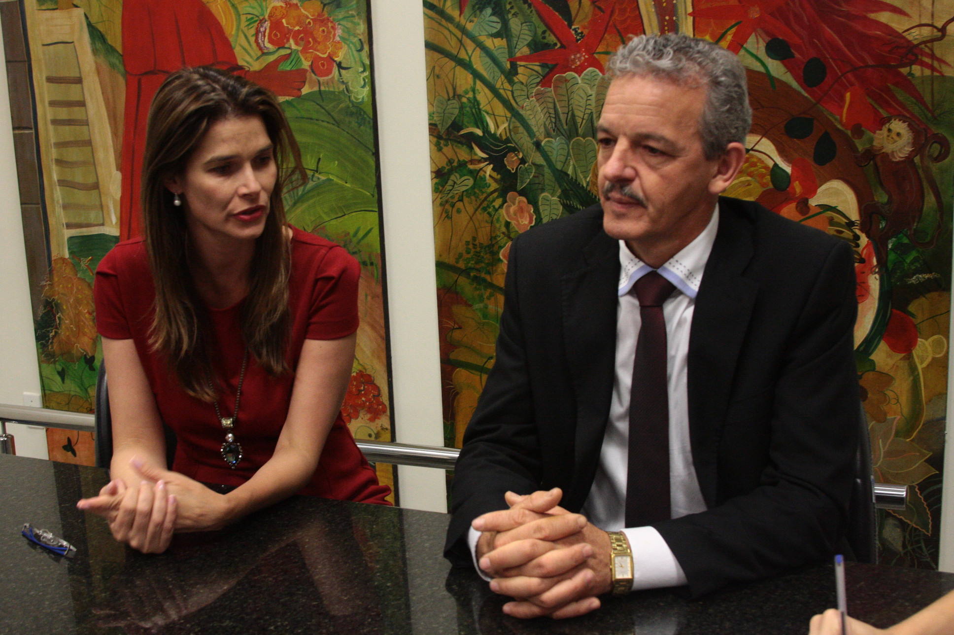 Reunião da CPI das Águas