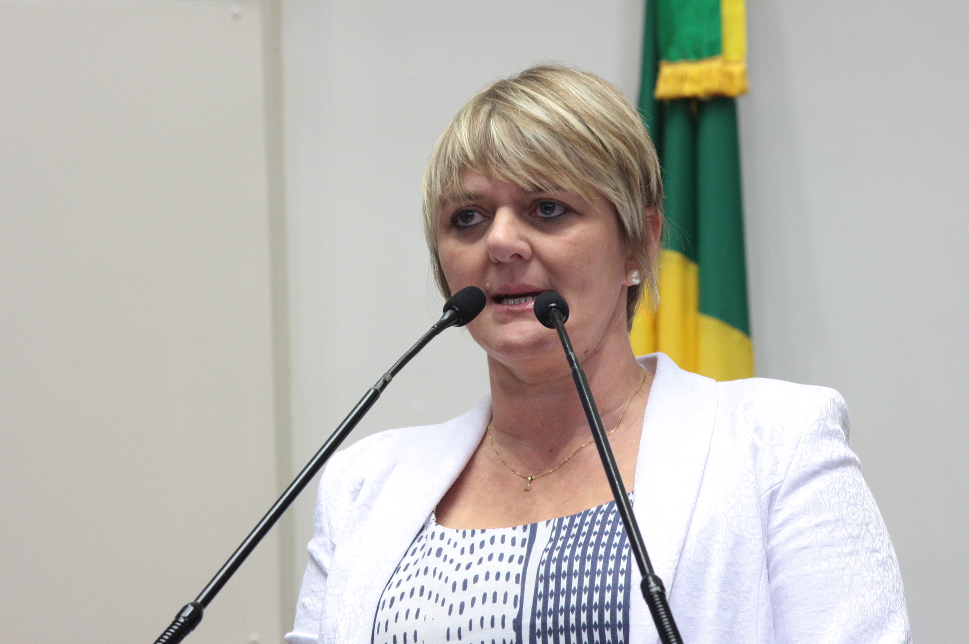 Sessão Ordinária - Plenário Osni Régis. Deputada Luciane Carminatti (PT) . Foto: Eduardo Guedes de Oliveira / Agência AL