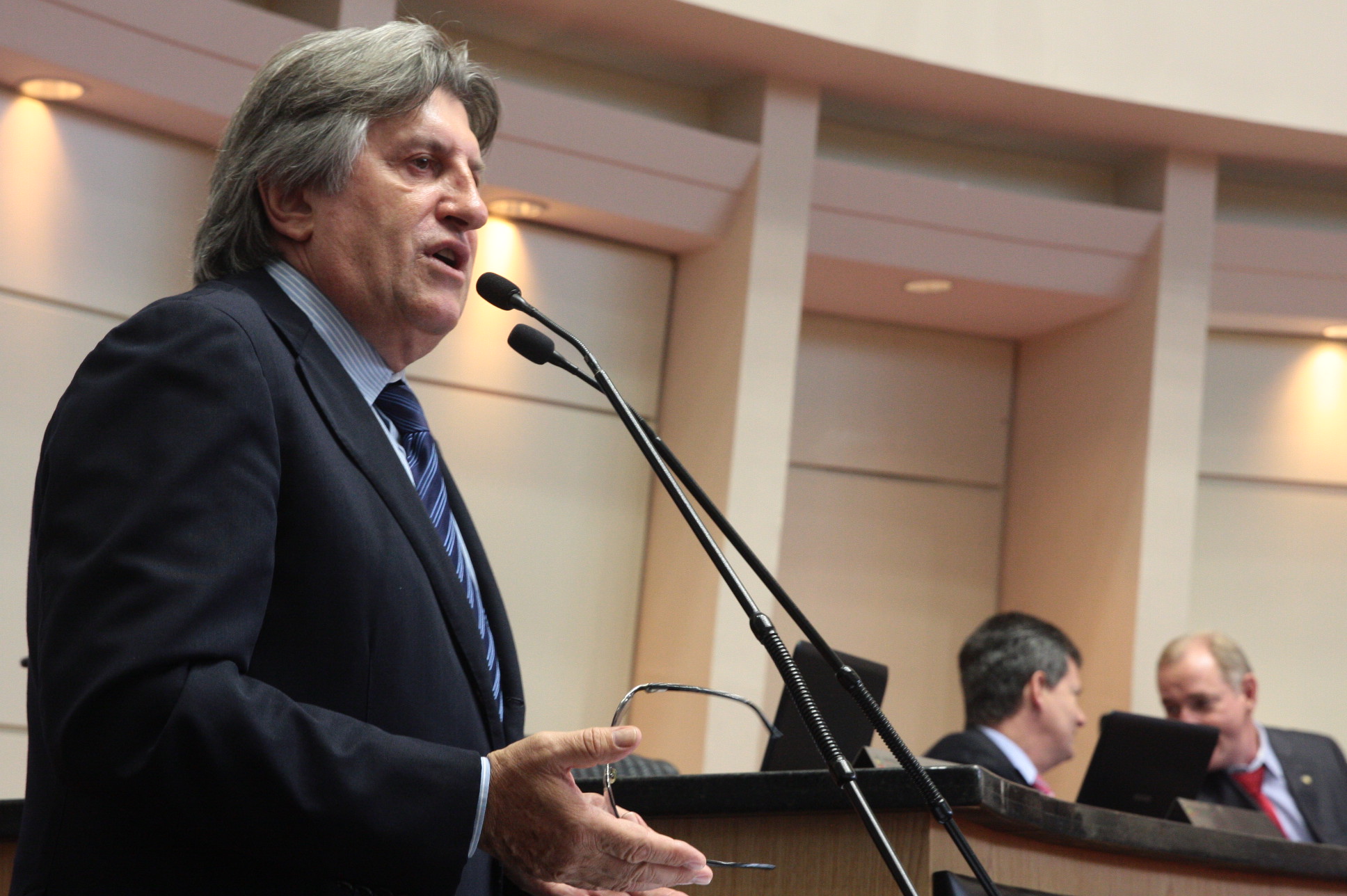 Sessão Ordinária - Plenário Osni Régis. Foto: Eduardo Guedes de Oliveira / Agência AL