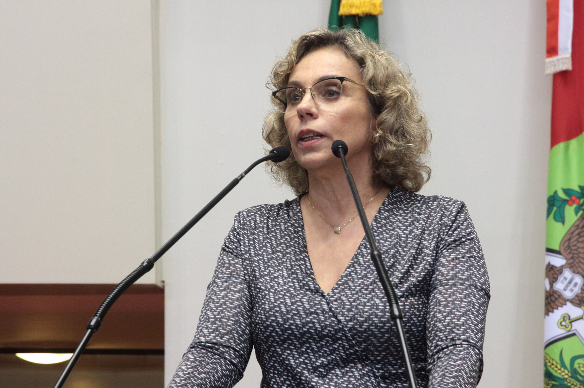 Sessão Ordinária - Plenário Osni Régis. Deputada Ana Paula Lima (PT) - Foto: Eduardo Guedes de Oliveira / Agência AL