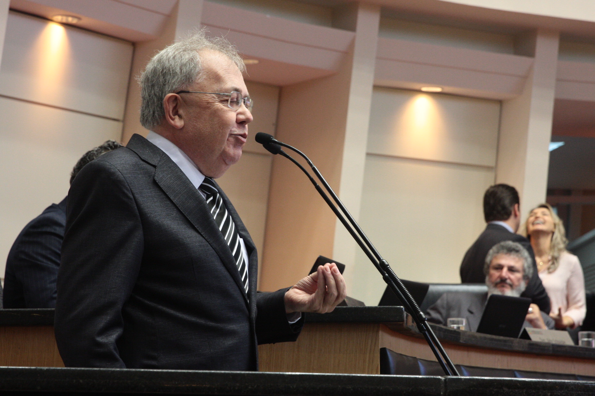 Sessão Ordinária - Plenário Osni Régis.  
 -  Foto: Eduardo Guedes de Oliveira / Agência AL