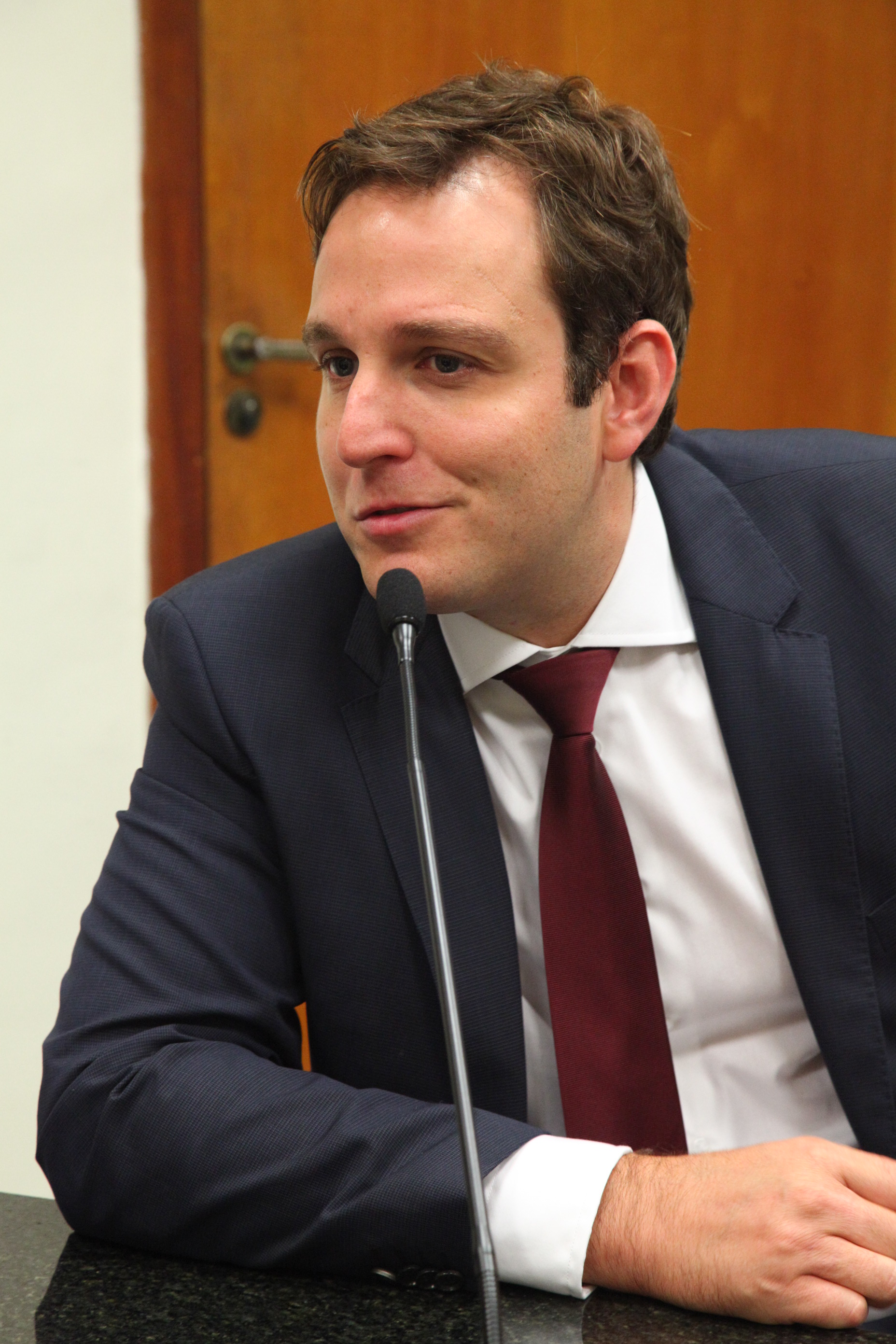 Comissão de Defesa dos Direitos da Criança e do Adolescente - Deputado Ricardo Guidi (PPS)