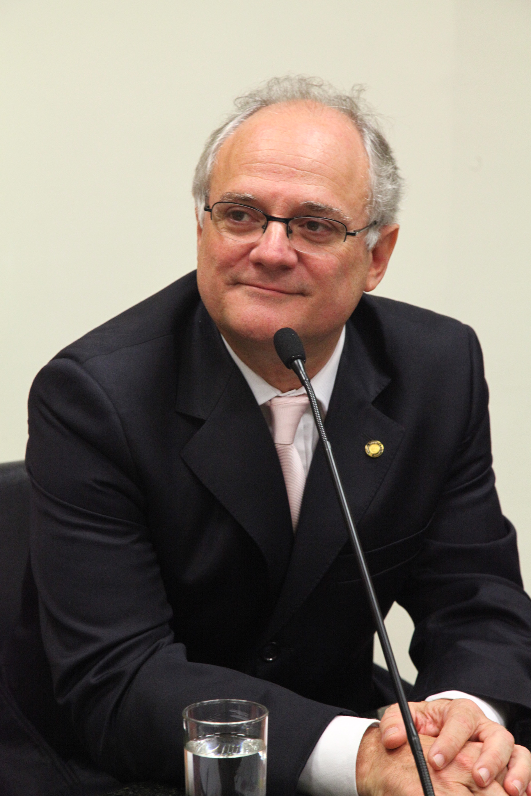 Comissão de Defesa dos Direitos da Criança e do Adolescente - Deputado Vicente Caropreso (PSDB)