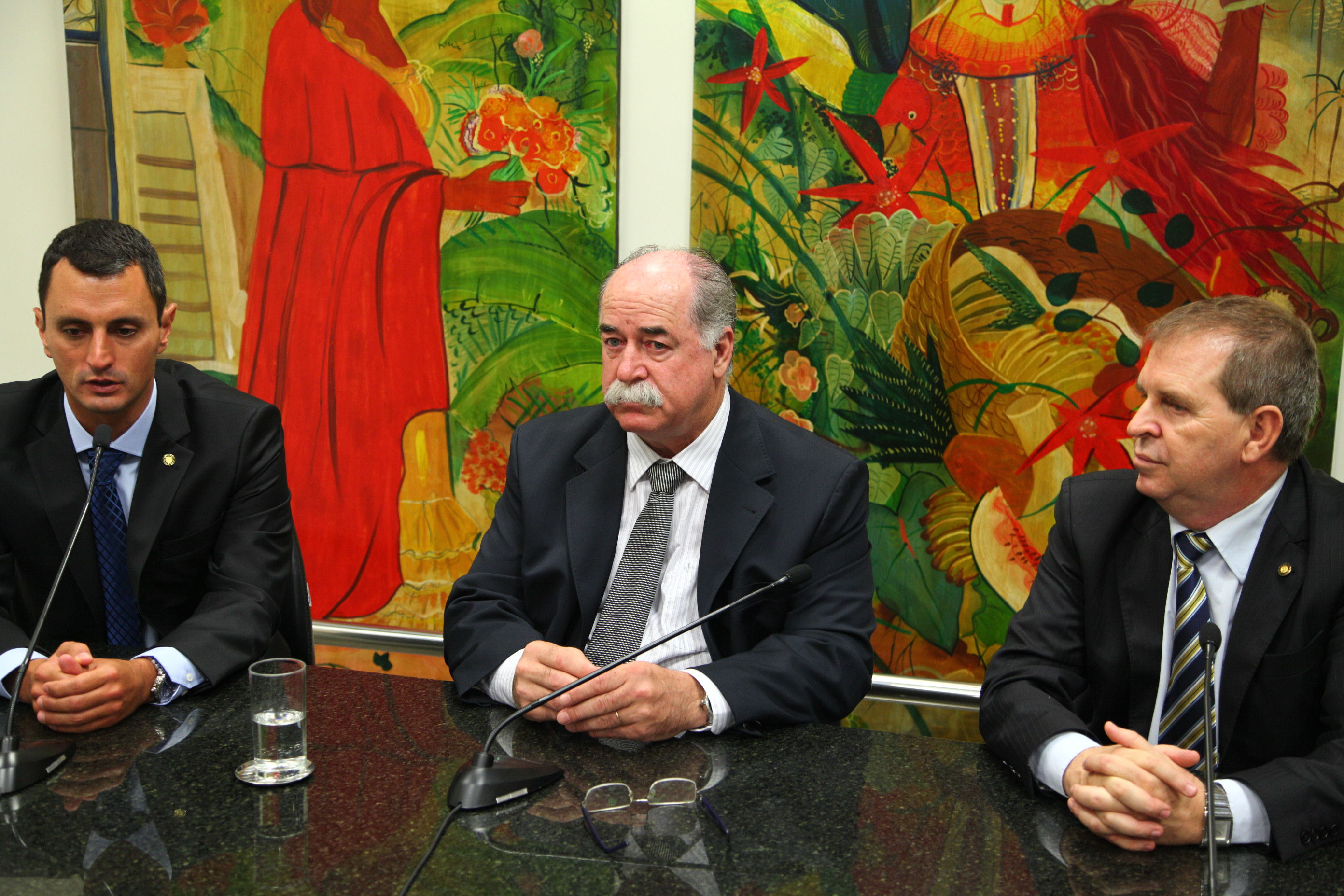 Comissão de Segurança Pública. Foto: Solon Soares / Agência AL