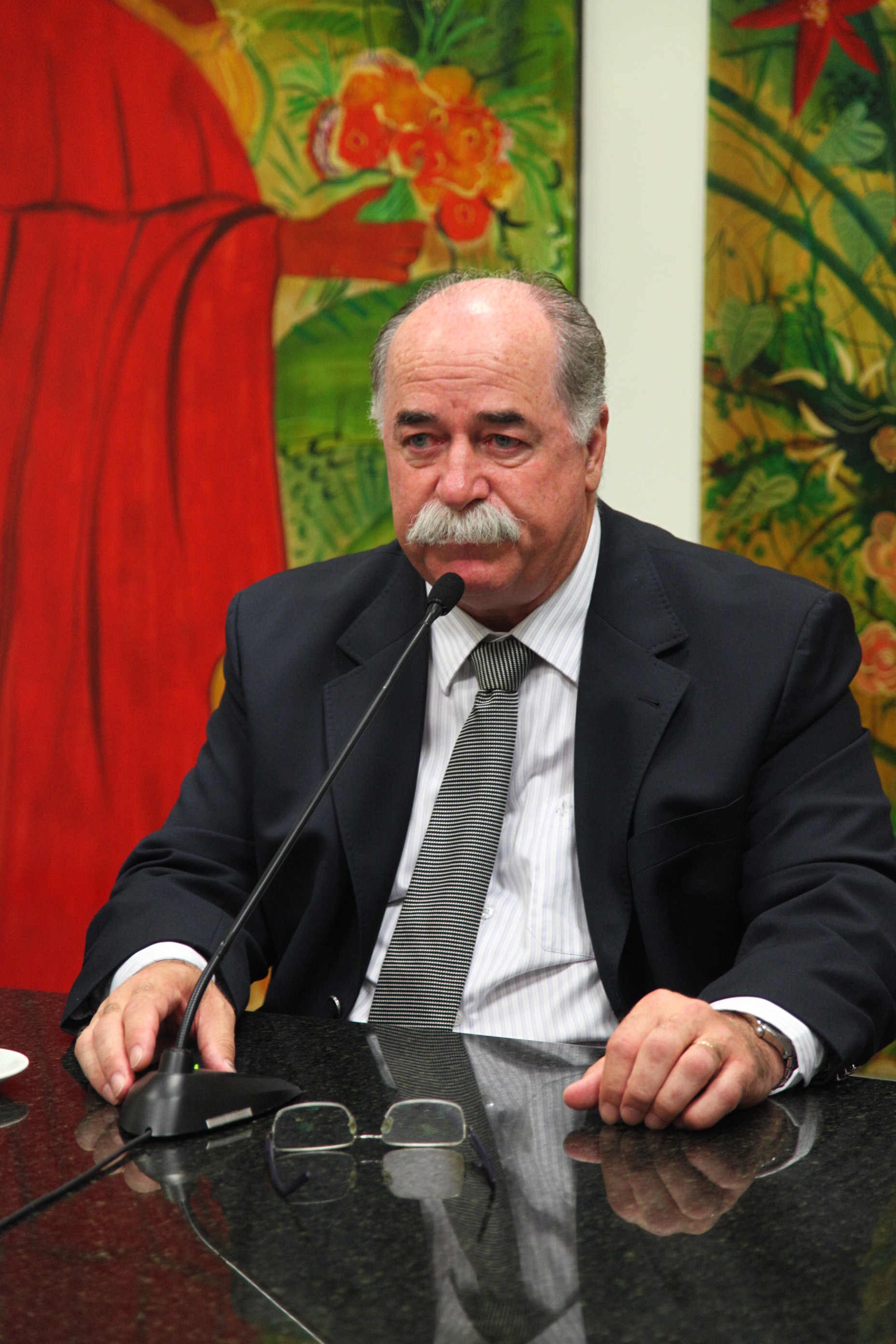 Comissão de Segurança Pública. Foto: Solon Soares / Agência AL