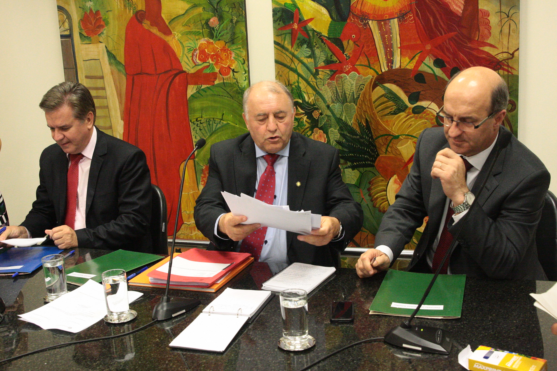 Reunião da Comissão de Agricultura. Foto: Eduardo Guedes de Oliveira / Agência AL