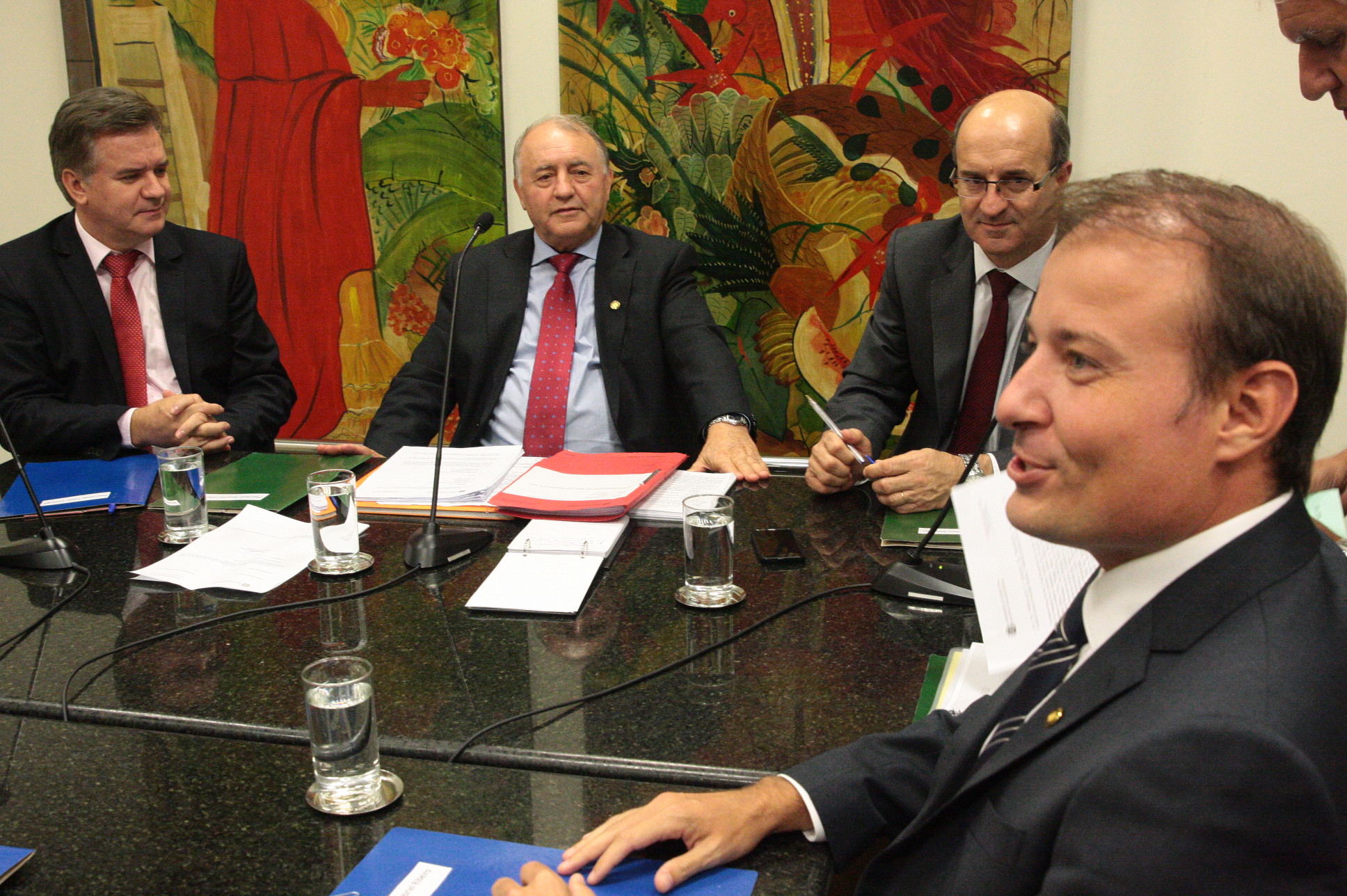 Reunião da Comissão de Agricultura. Foto: Eduardo Guedes de Oliveira / Agência AL