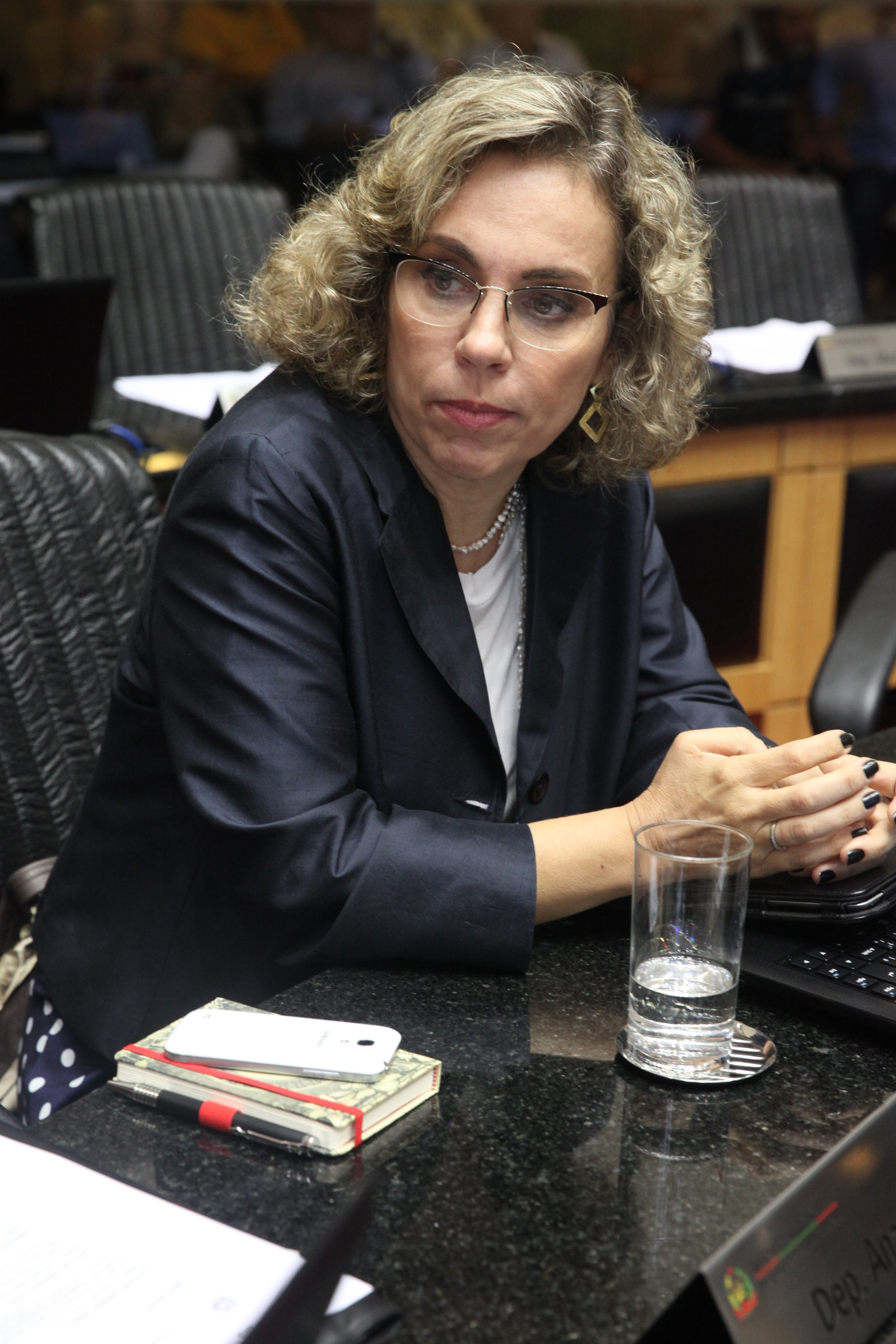 Sessão Ordinária. Foto: Fábio Queiroz / Agência AL