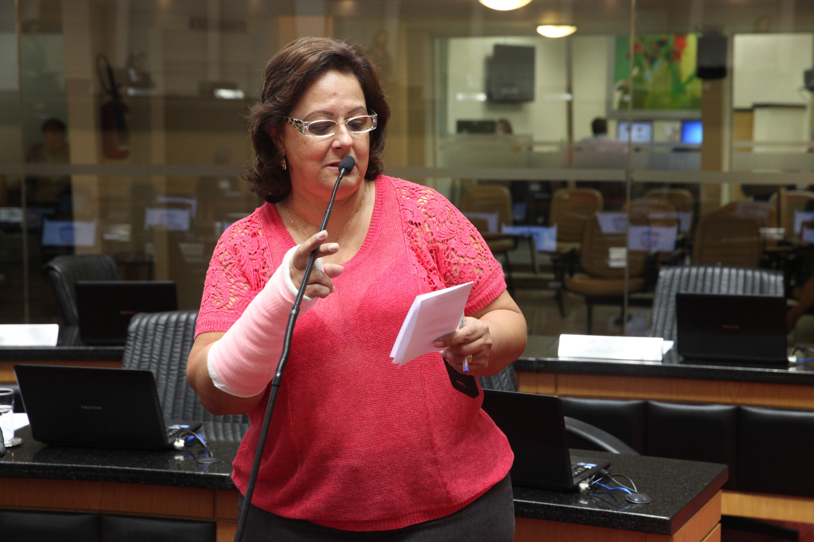 Sessão Ordinária. Foto: Fábio Queiroz / Agência AL