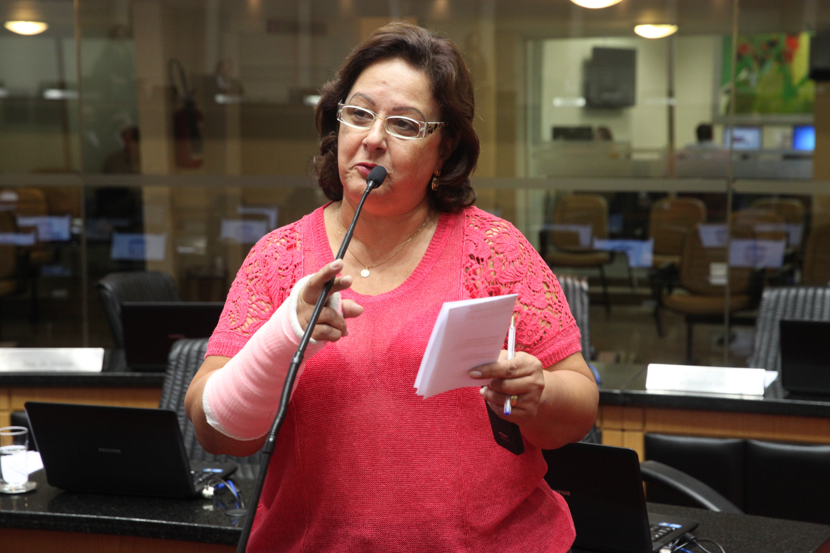 Sessão Ordinária. Foto: Fábio Queiroz / Agência AL