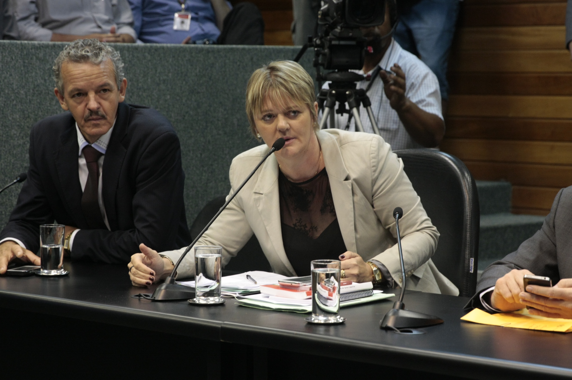 Reunião da Comissão de Constituição e Justiça. Dep: Luciane Carminatti (PT). Foto: Yuri Santos / Agência AL