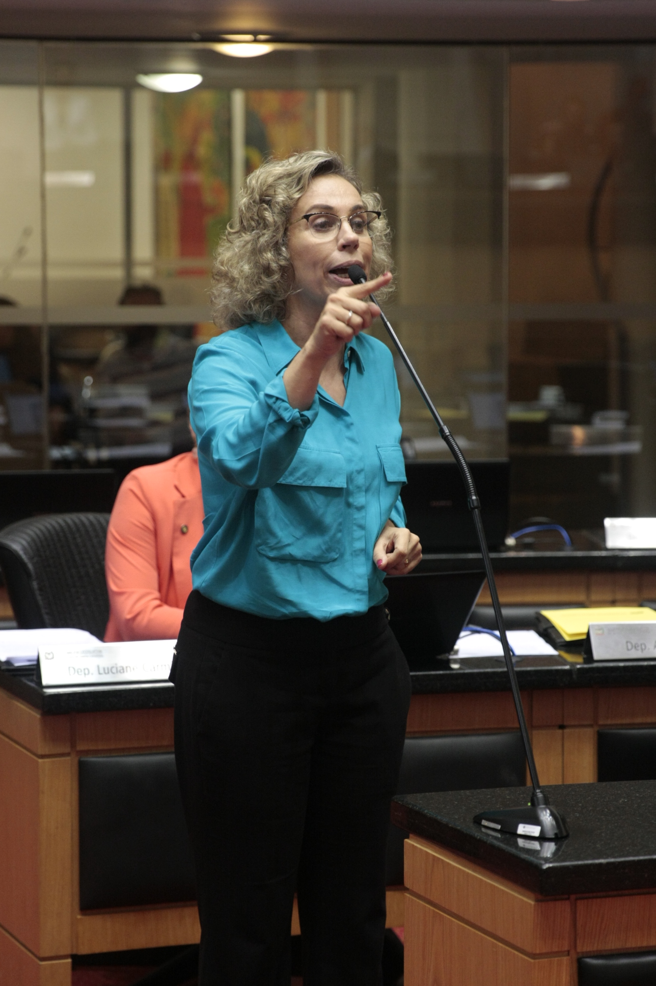Sessão Ordinária. Dep: Ana Paula Lima (PT). Foto: Yuri Santos / Agência AL
