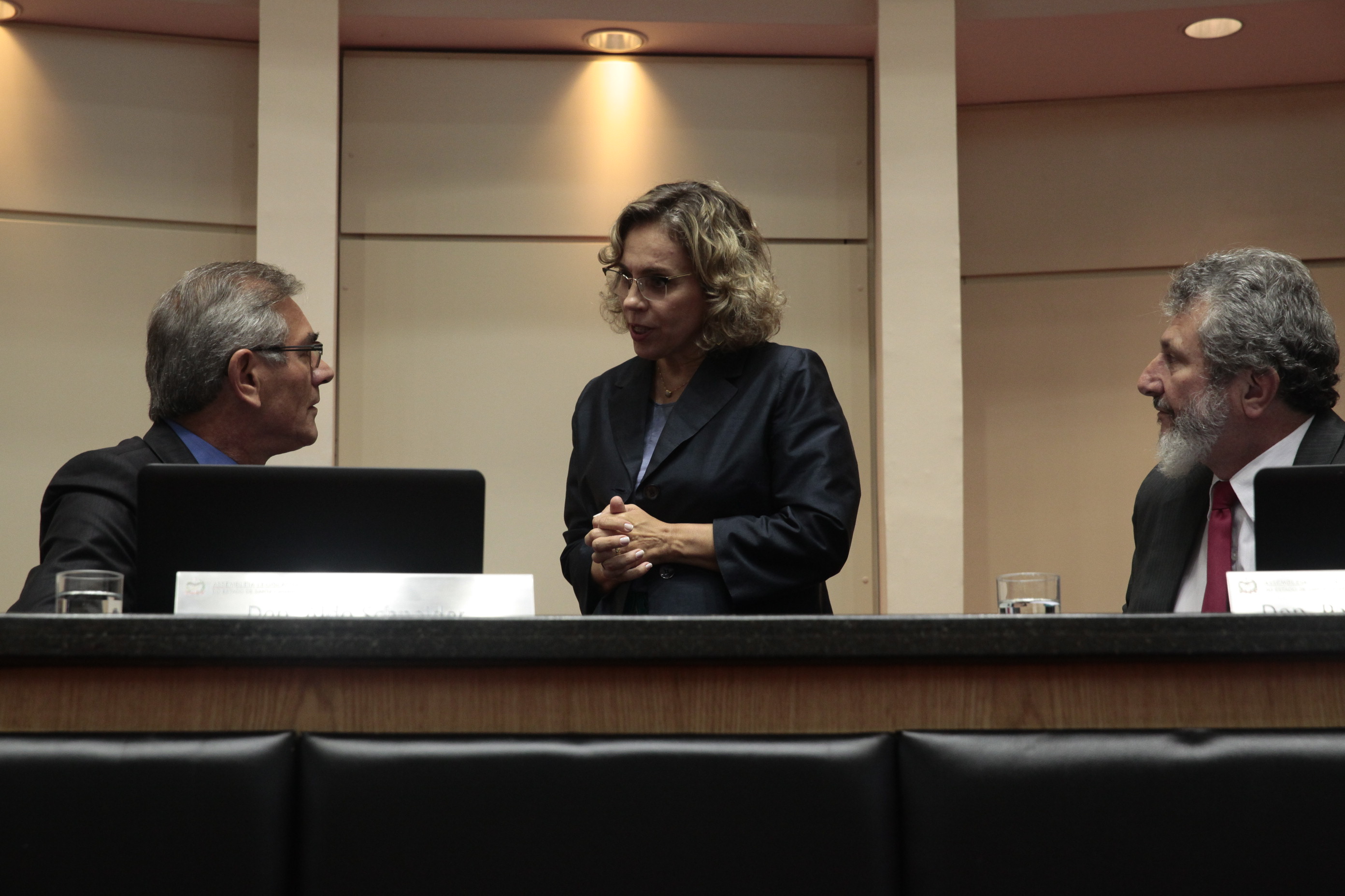 Sessão Ordinária - Plenário Osni Regis. Foto: Eduardo Guedes de Oliveira / Agência AL