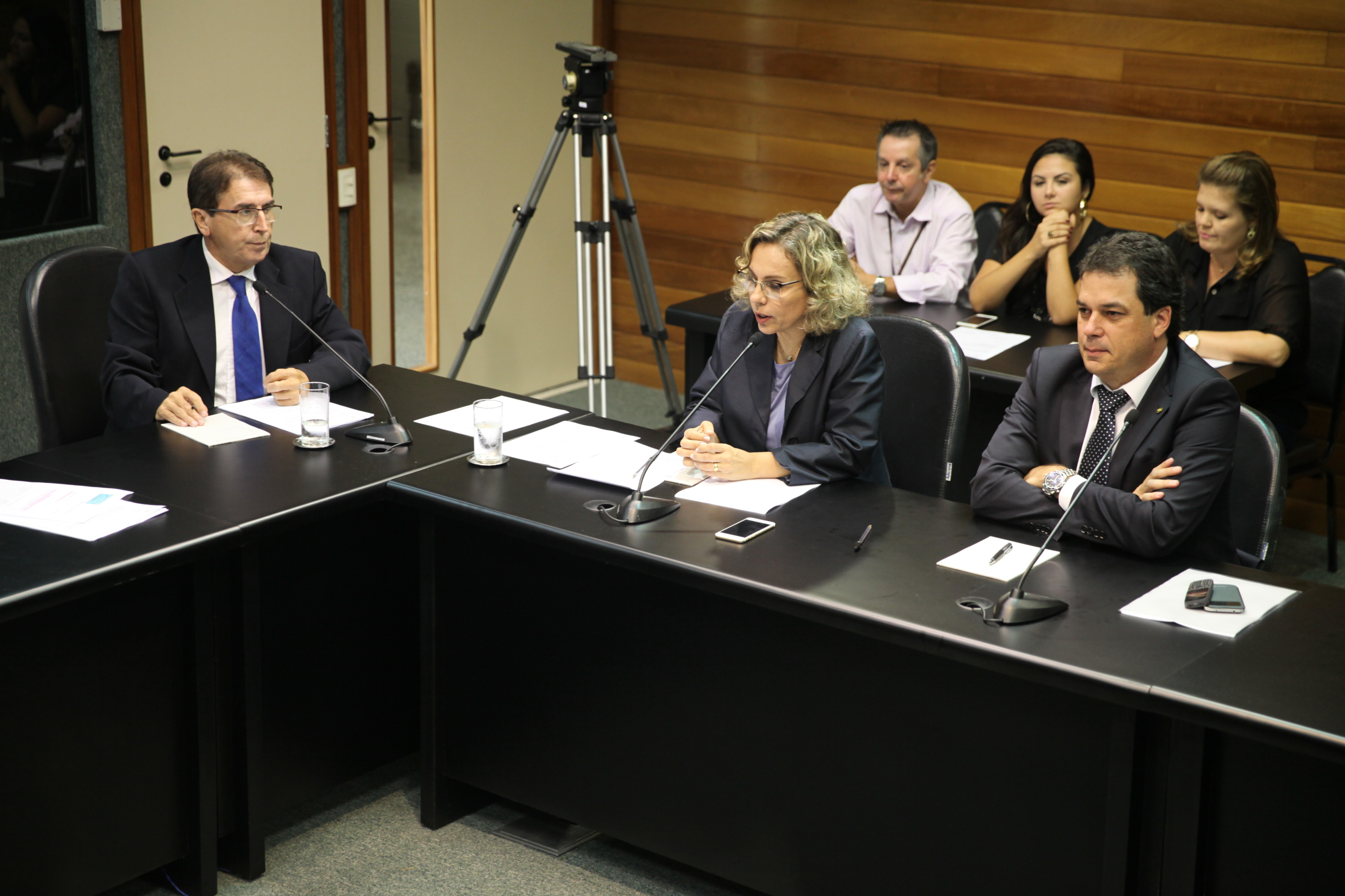 Reunião Ordinária da Comissão de Segurança Pública. Foto: Miriam Zomer/Agência AL