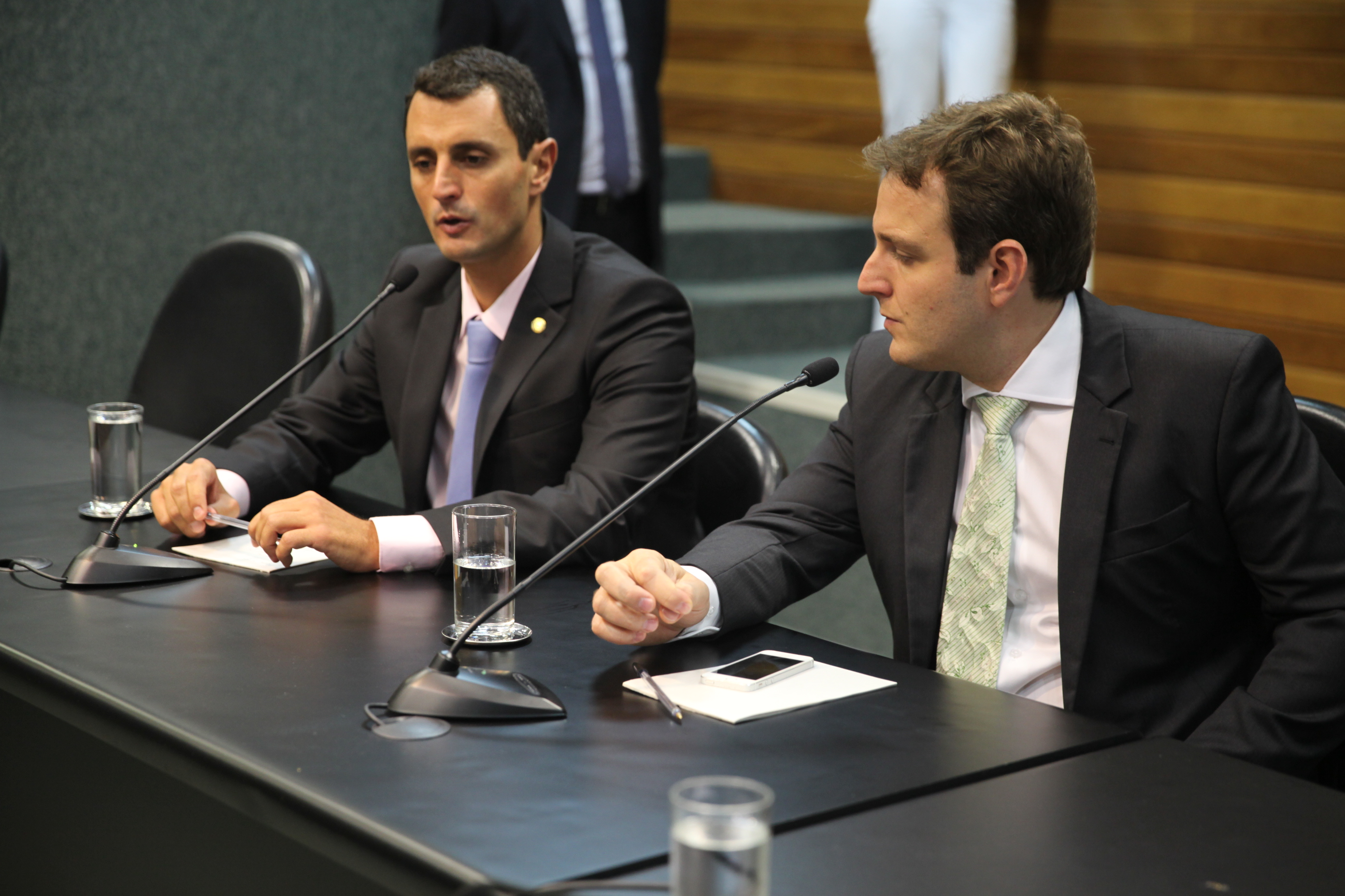 Reunião Ordinária da Comissão de Segurança Pública. Foto: Miriam Zomer/Agência AL