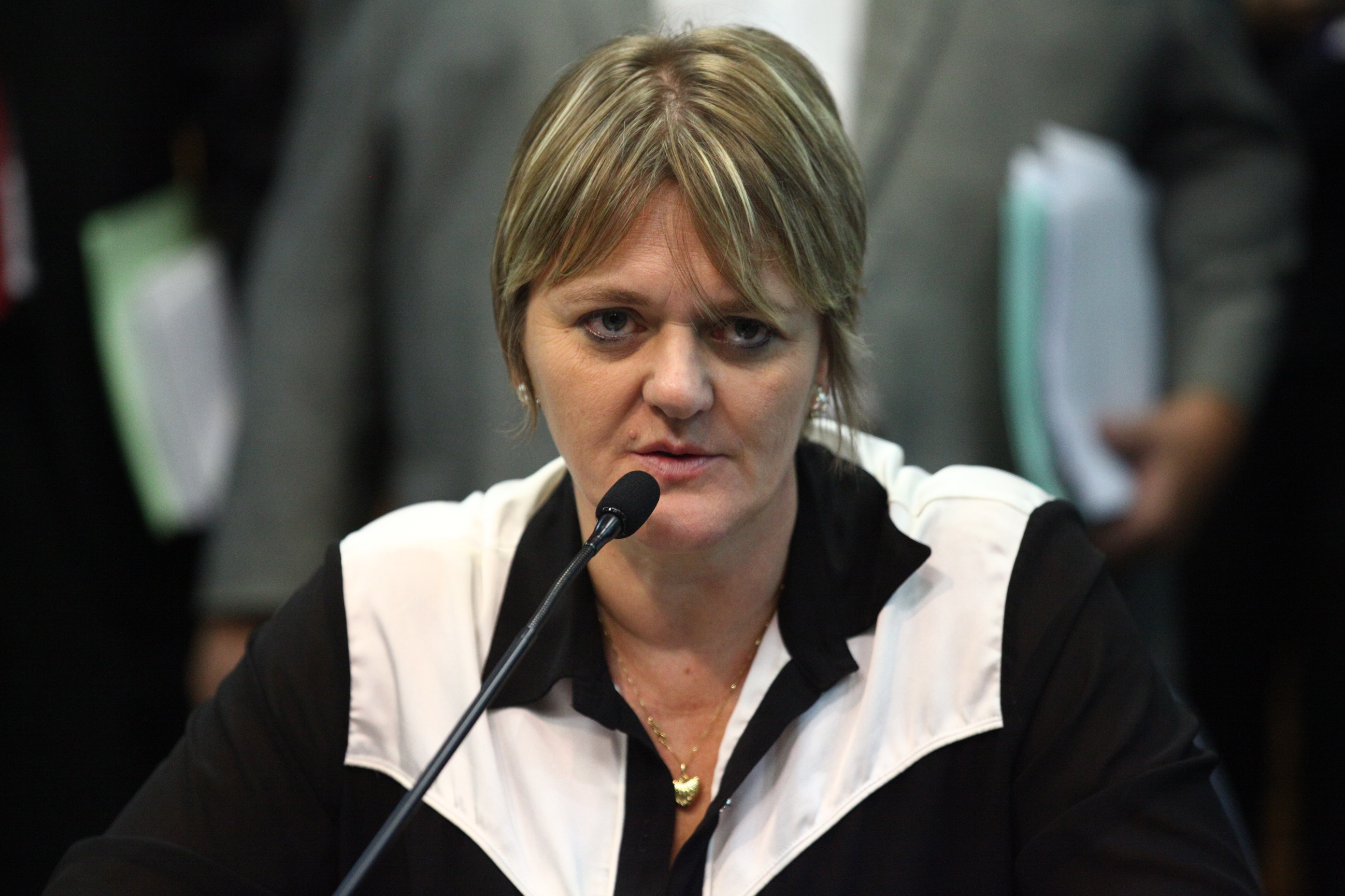Comissão de Constituição e Justiça - Deputada Luciane Carminatti (PT)