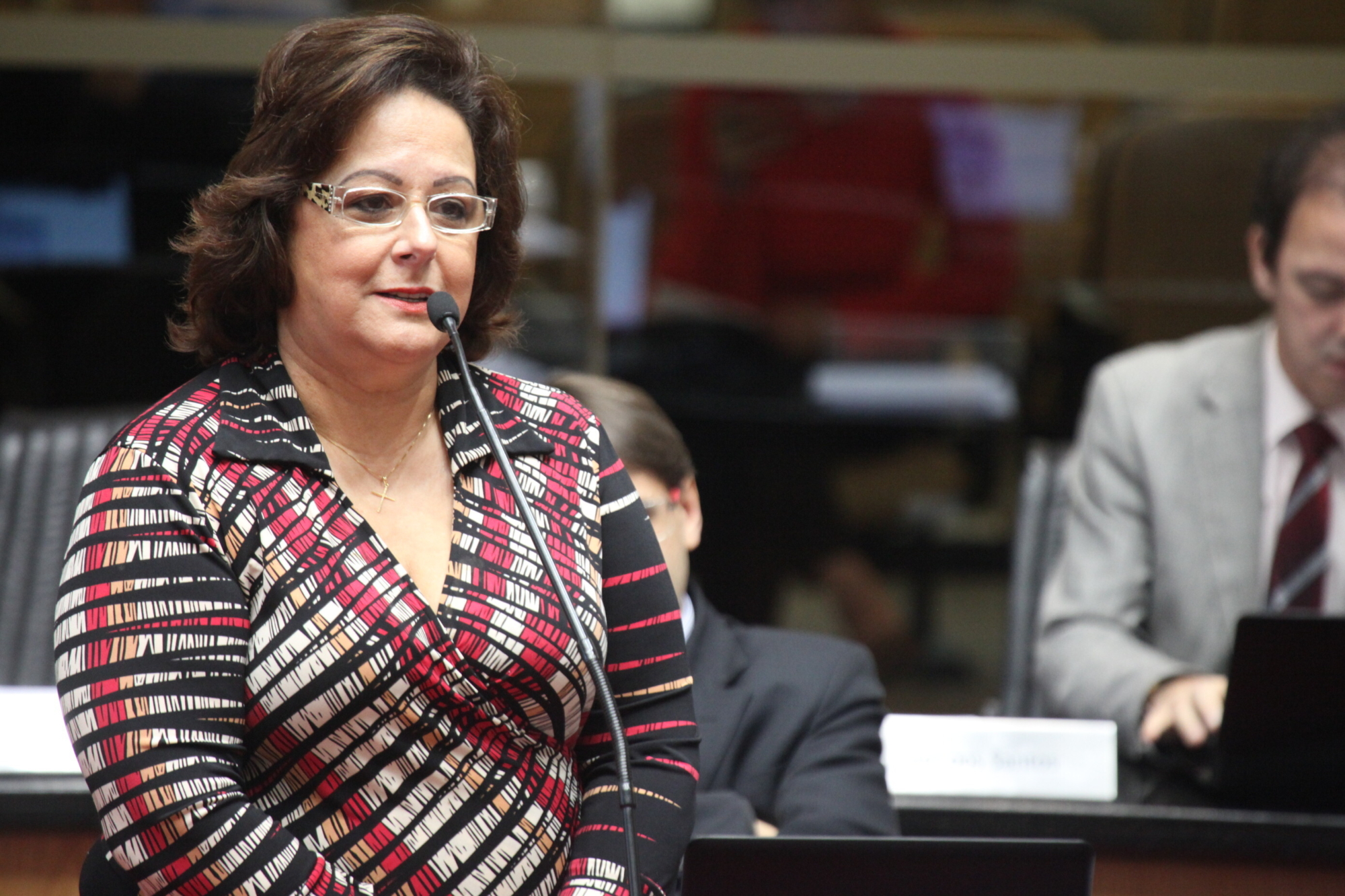 Parlamento celebra 50 anos do Colégio Elisa Andreoli