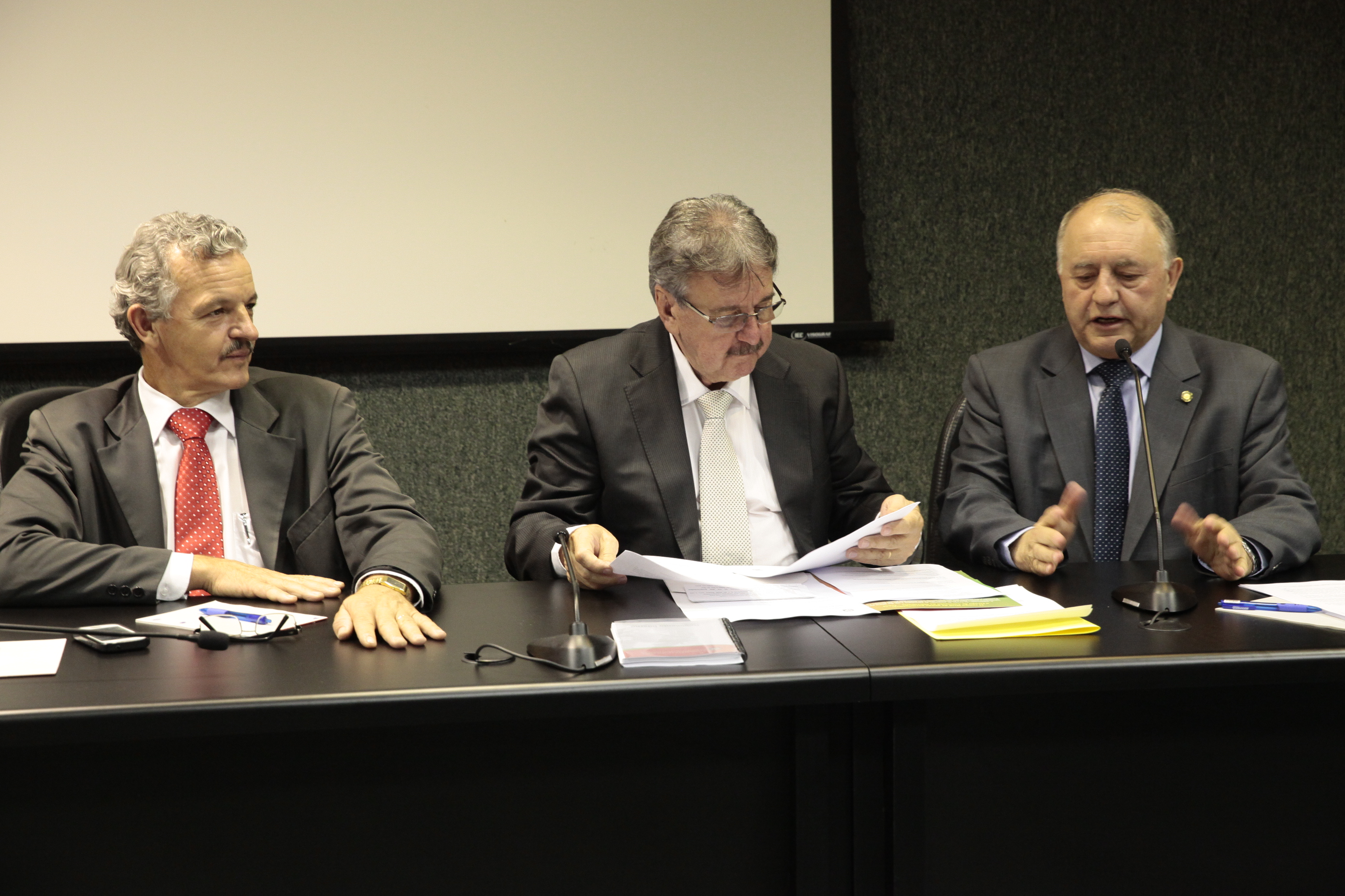 Reunião da Comissão de Agricultura e Política Rural e Comissão de Economia, Ciência, Tecnologia, Minas e Energia. Foto: Miriam Zomer/Agência AL