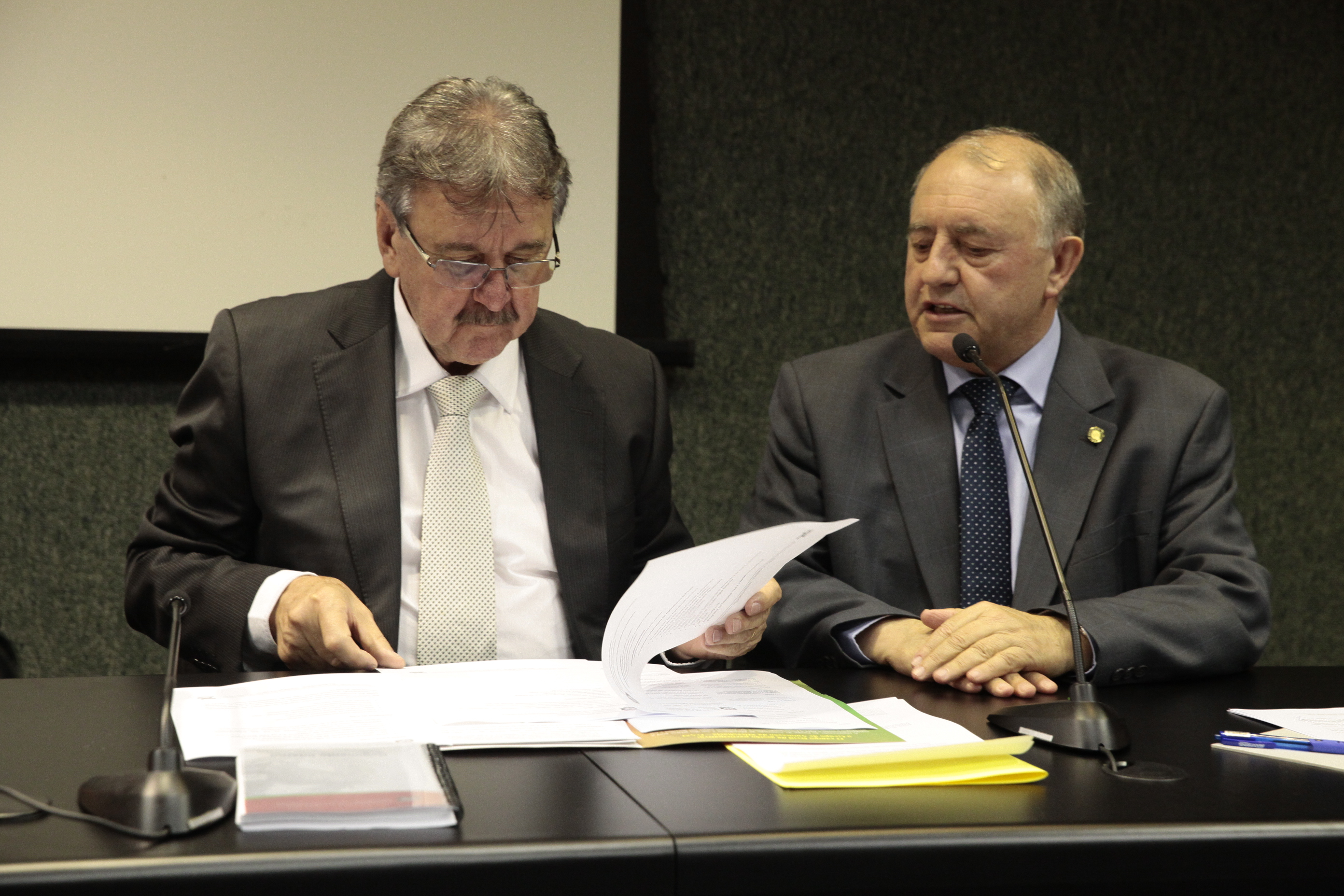Reunião da Comissão de Agricultura e Política Rural e Comissão de Economia, Ciência, Tecnologia, Minas e Energia. Foto: Miriam Zomer/Agência AL