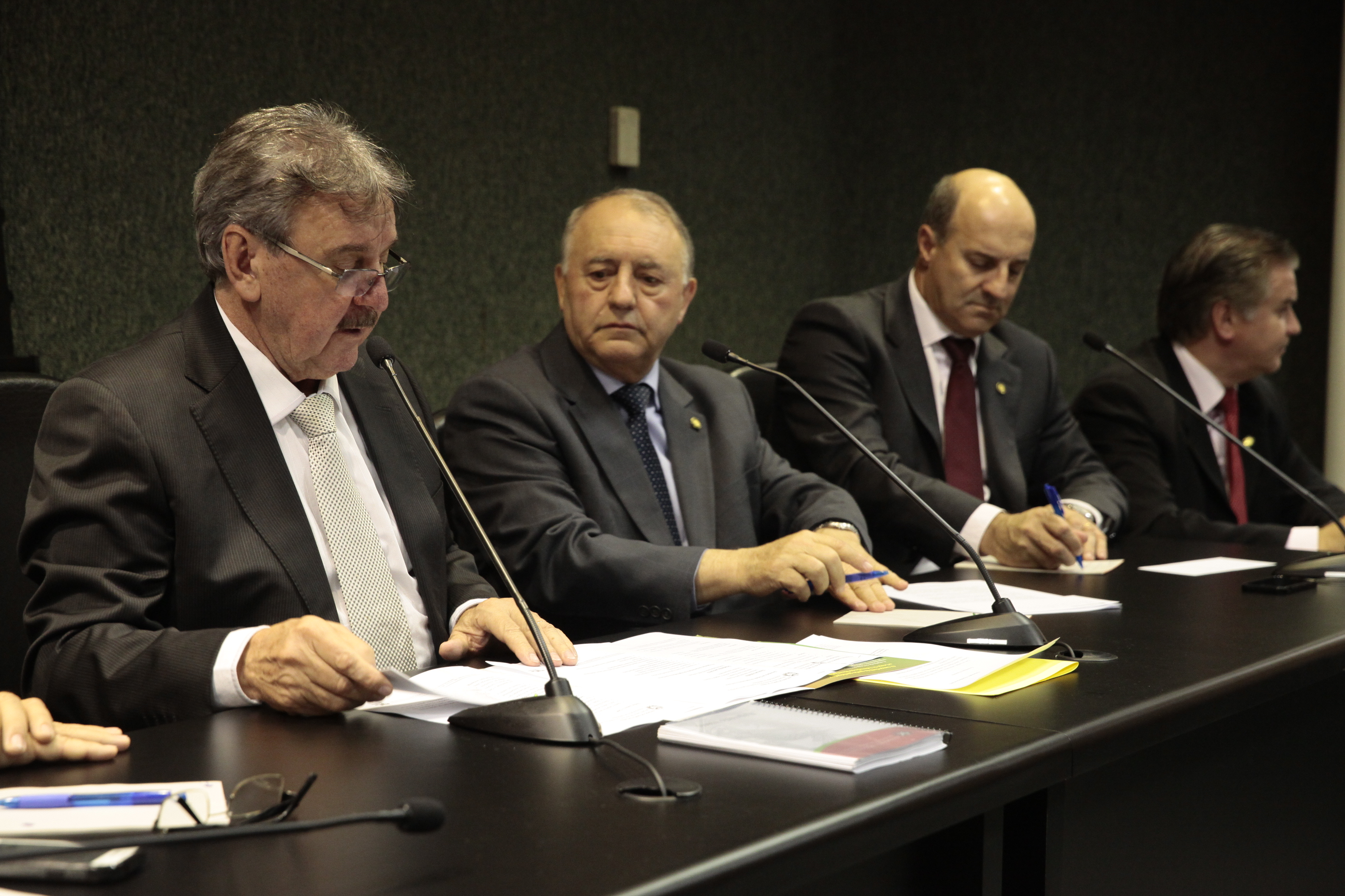 Reunião da Comissão de Agricultura e Política Rural e Comissão de Economia, Ciência, Tecnologia, Minas e Energia. Foto: Miriam Zomer/Agência AL