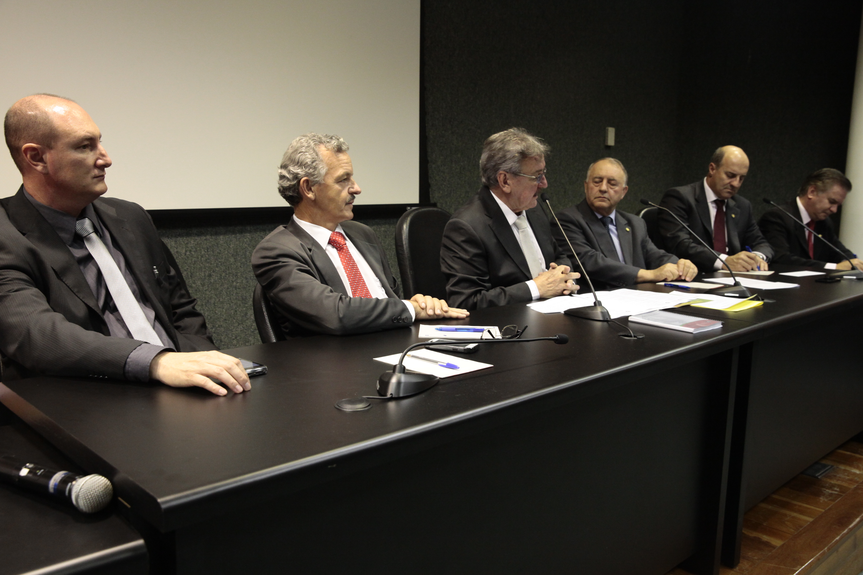 Reunião da Comissão de Agricultura e Política Rural e Comissão de Economia, Ciência, Tecnologia, Minas e Energia. Foto: Miriam Zomer/Agência AL