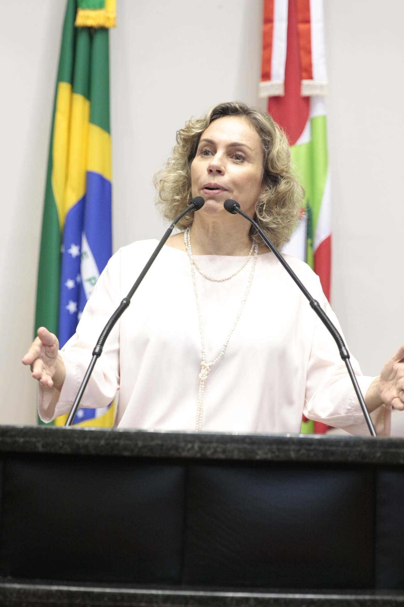 Sessão Ordinária. Yuri Santos / Agência AL