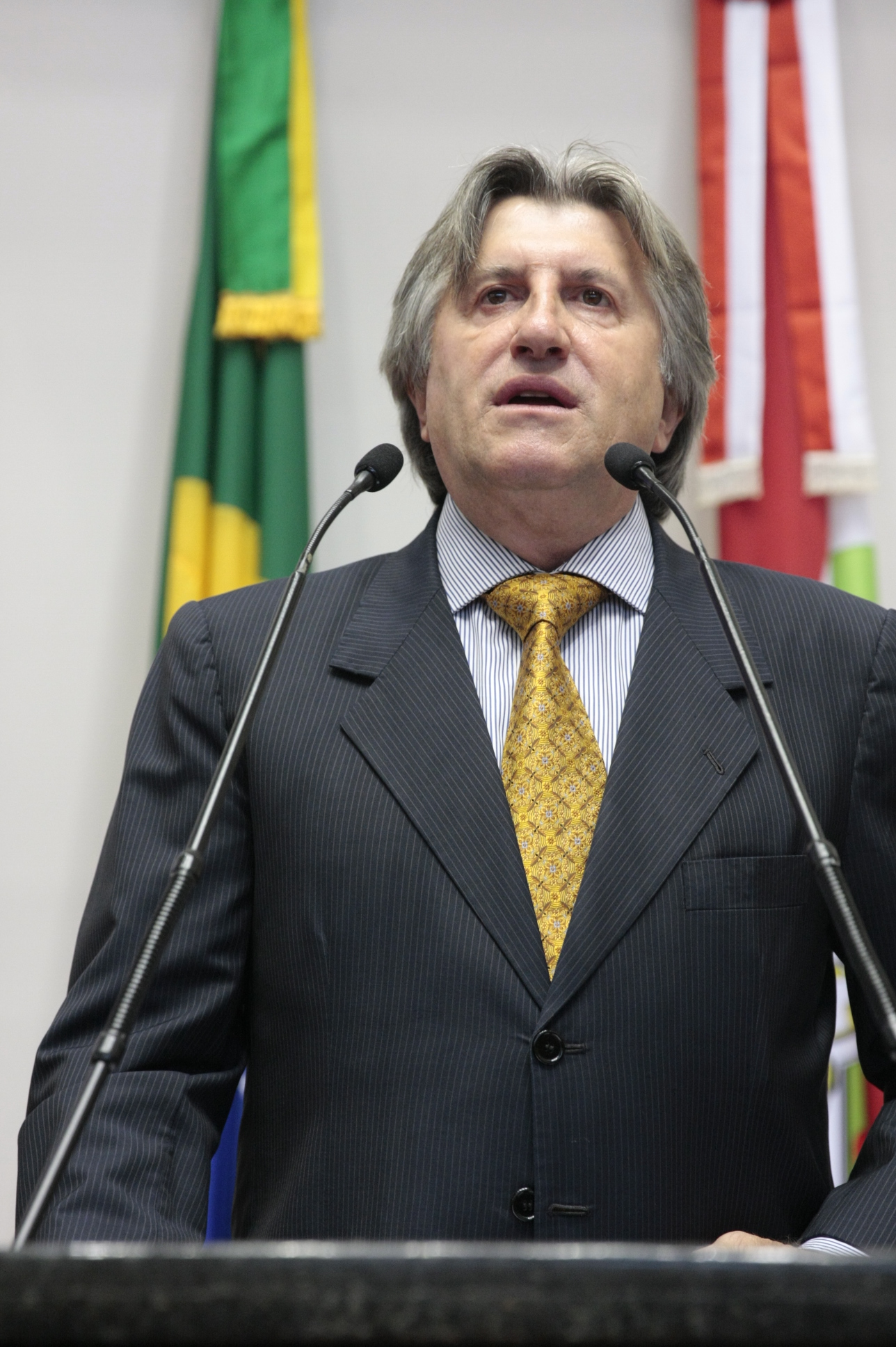 Sessão Ordinária. Dep: Leonel Pavan (PSDB). Yuri Santos / Agência AL