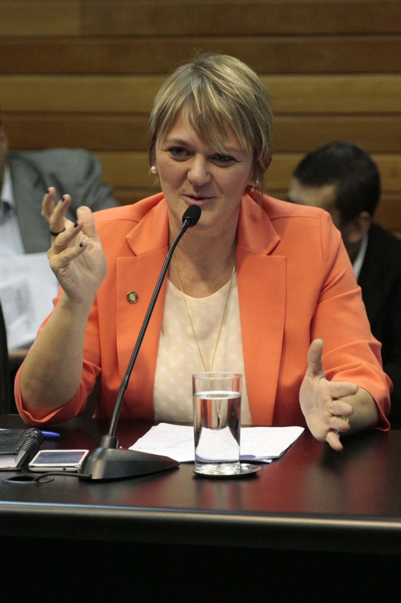 Comissão de Constituição e Justiça. Deputada Luciane Carminatti (PT).  Foto:Yuri Santos / Agência AL