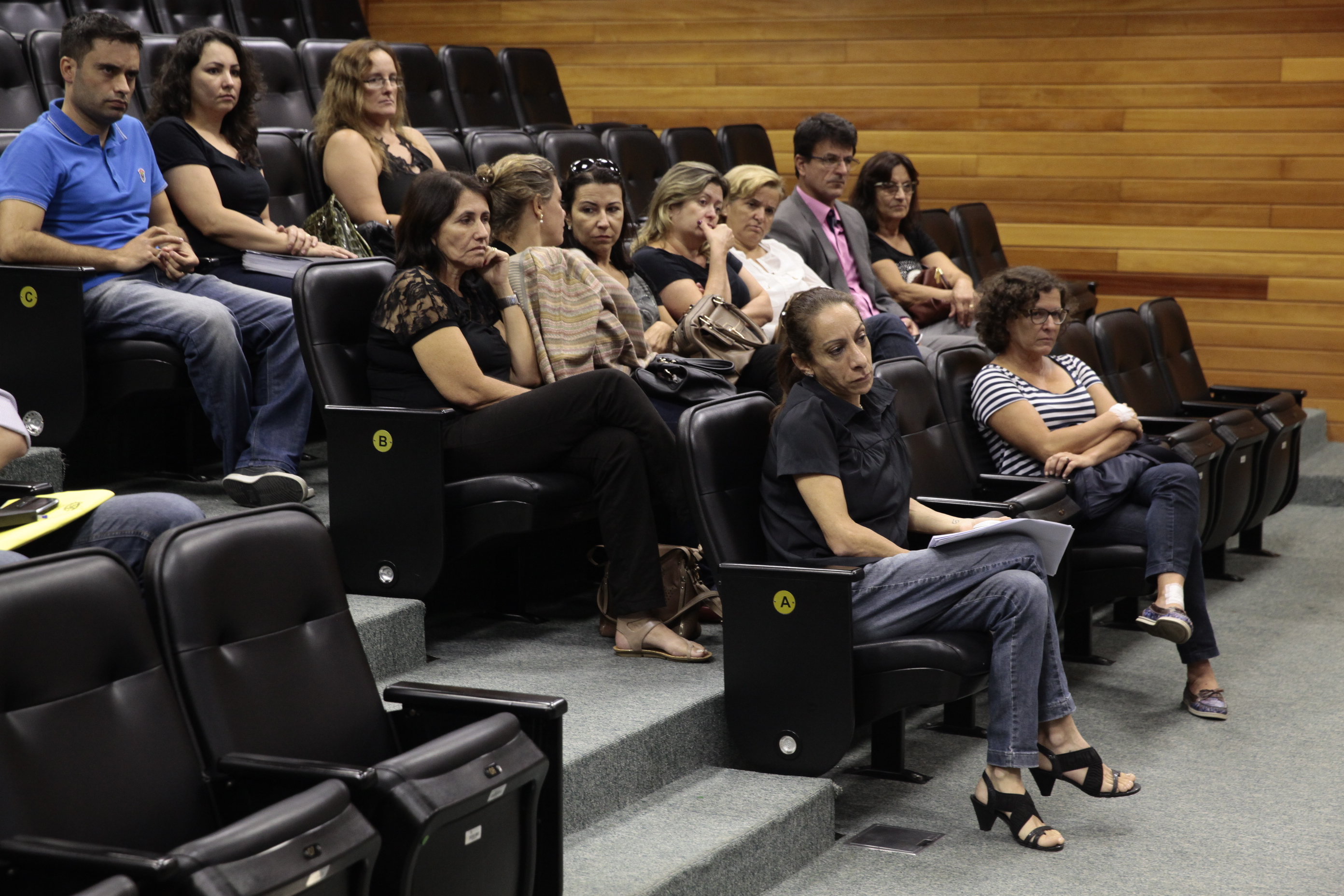 Reunião da Comissão de Educação. Foto: Miriam Zomer/Agência AL