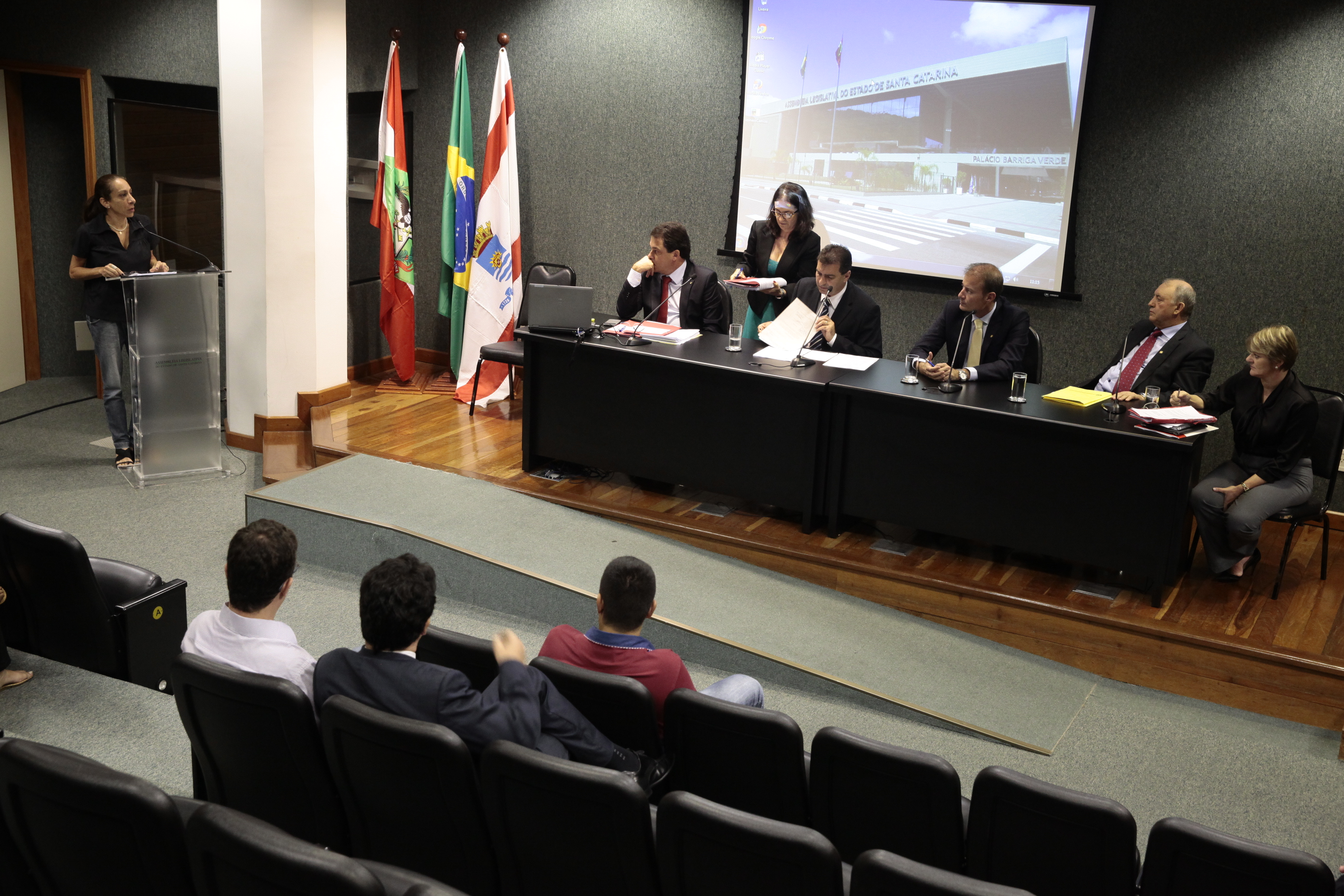 Reunião da Comissão de Educação. Foto: Miriam Zomer/Agência AL