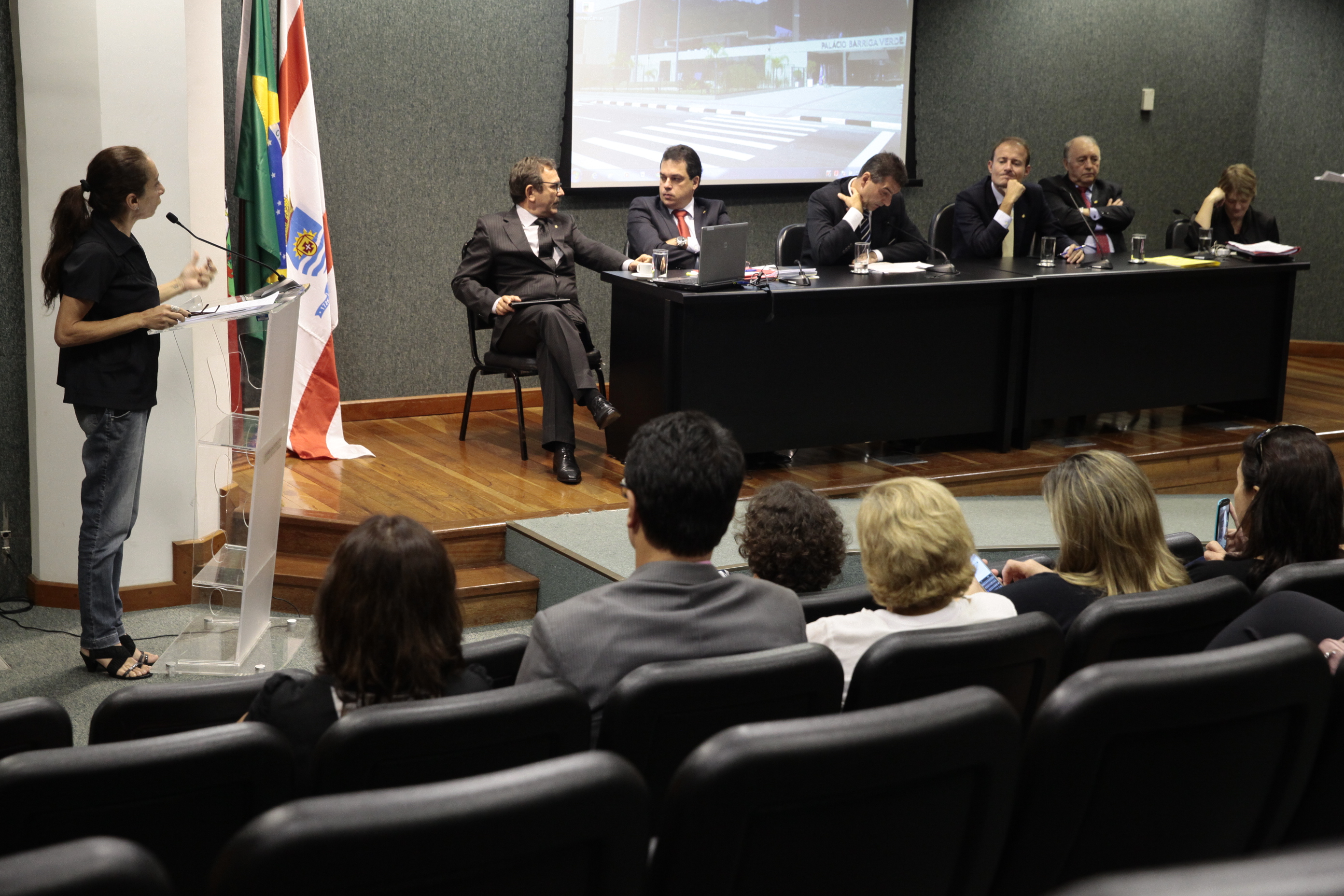 Reunião da Comissão de Educação. Foto: Miriam Zomer/Agência AL