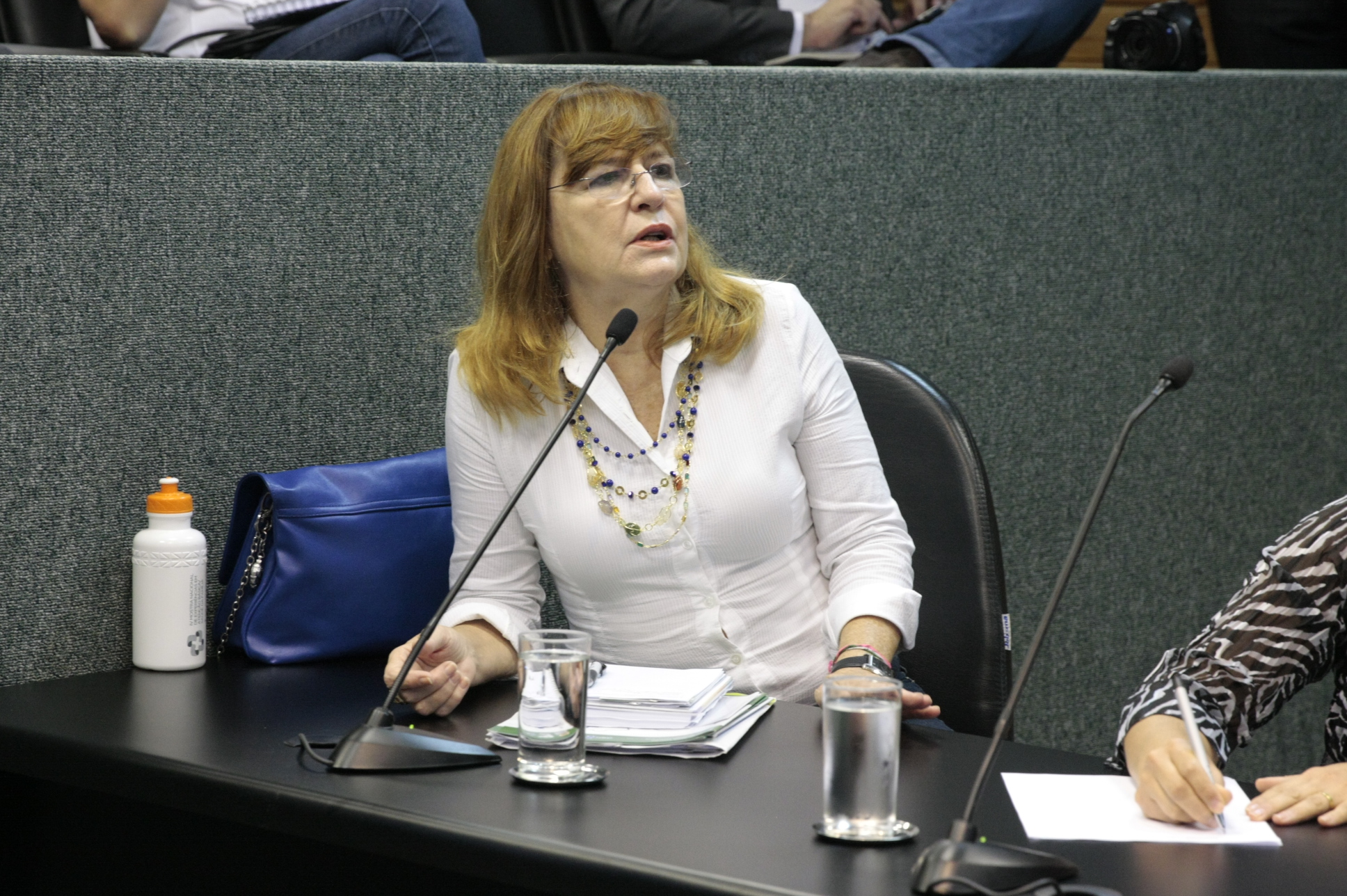 Comissão de Saúde. Gerente Coodrenção de Atenção Básica - SES : Lizete Contin. Foto:Yuri Santos / Agência AL
