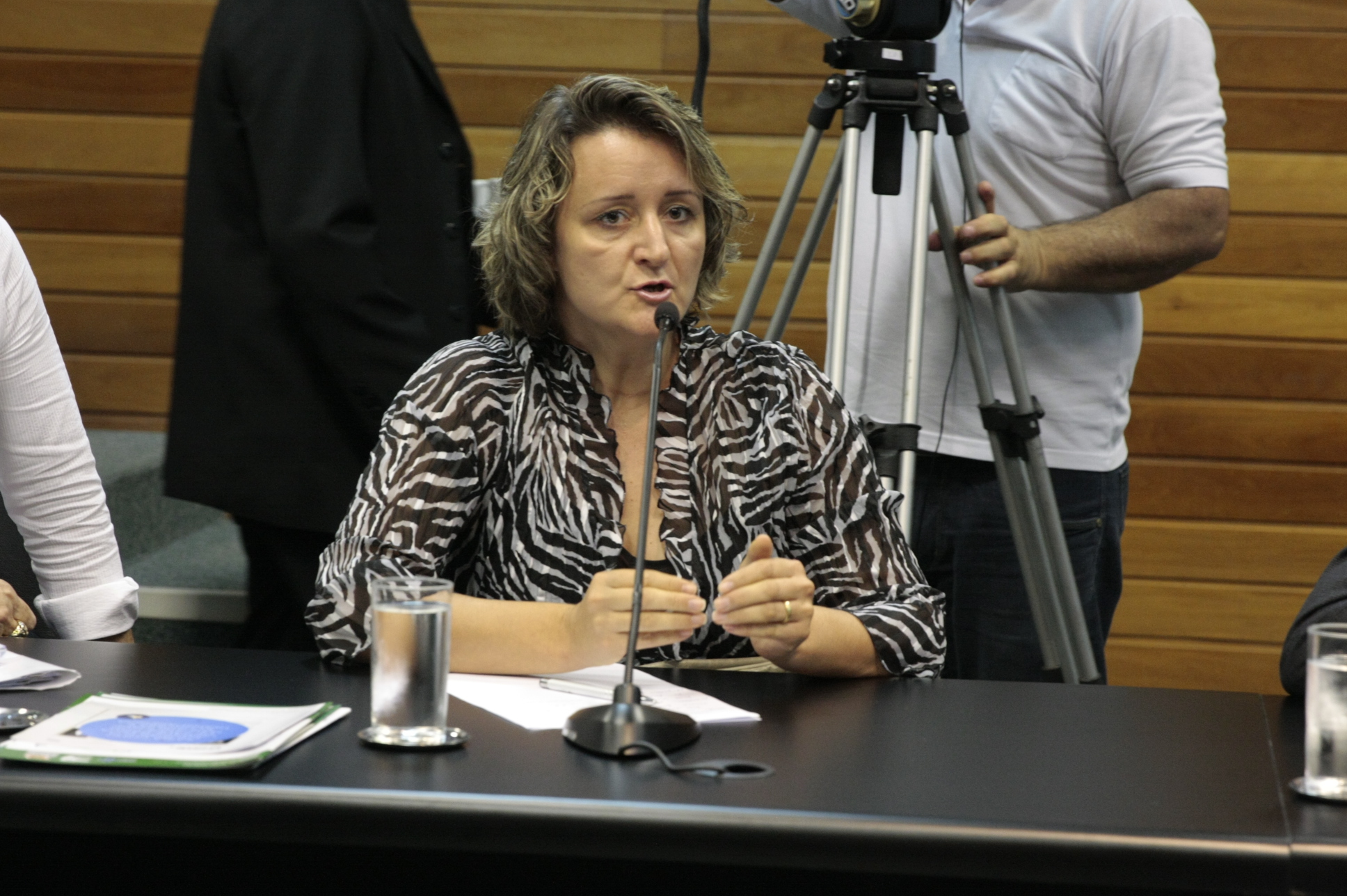 Comissão de Saúde. Diretora de Planejamento: Karin Geller. Foto:Yuri Santos / Agência AL