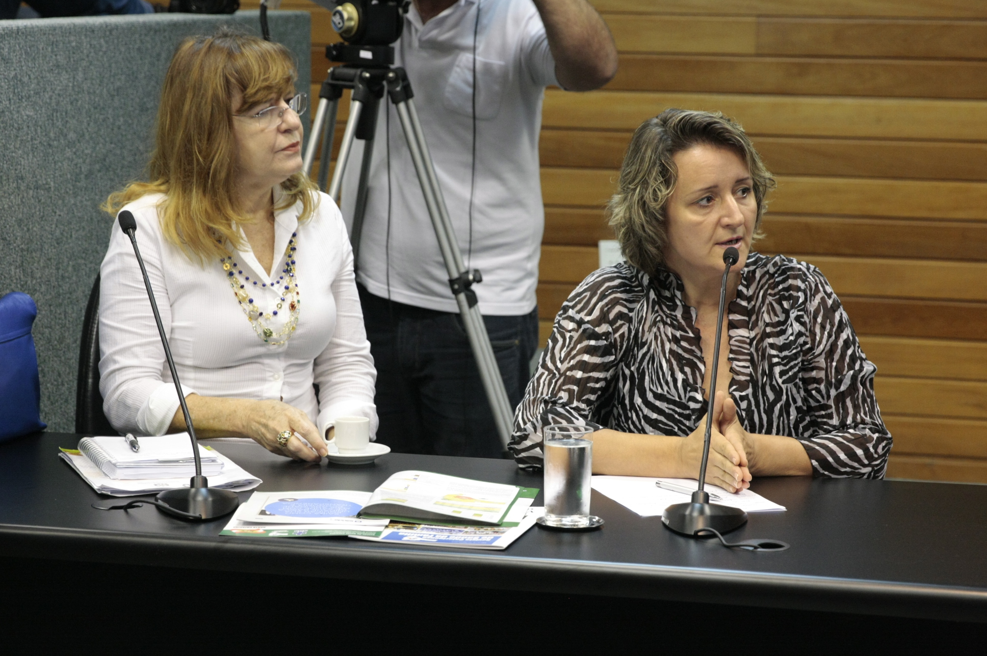 Comissão de Saúde. Foto:Yuri Santos / Agência AL