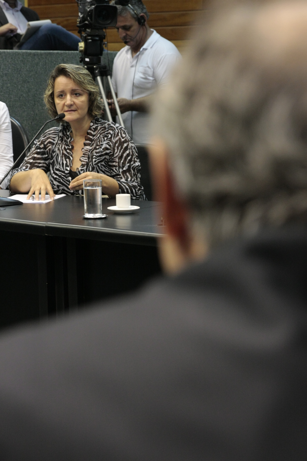 Comissão de Saúde. Foto:Yuri Santos / Agência AL